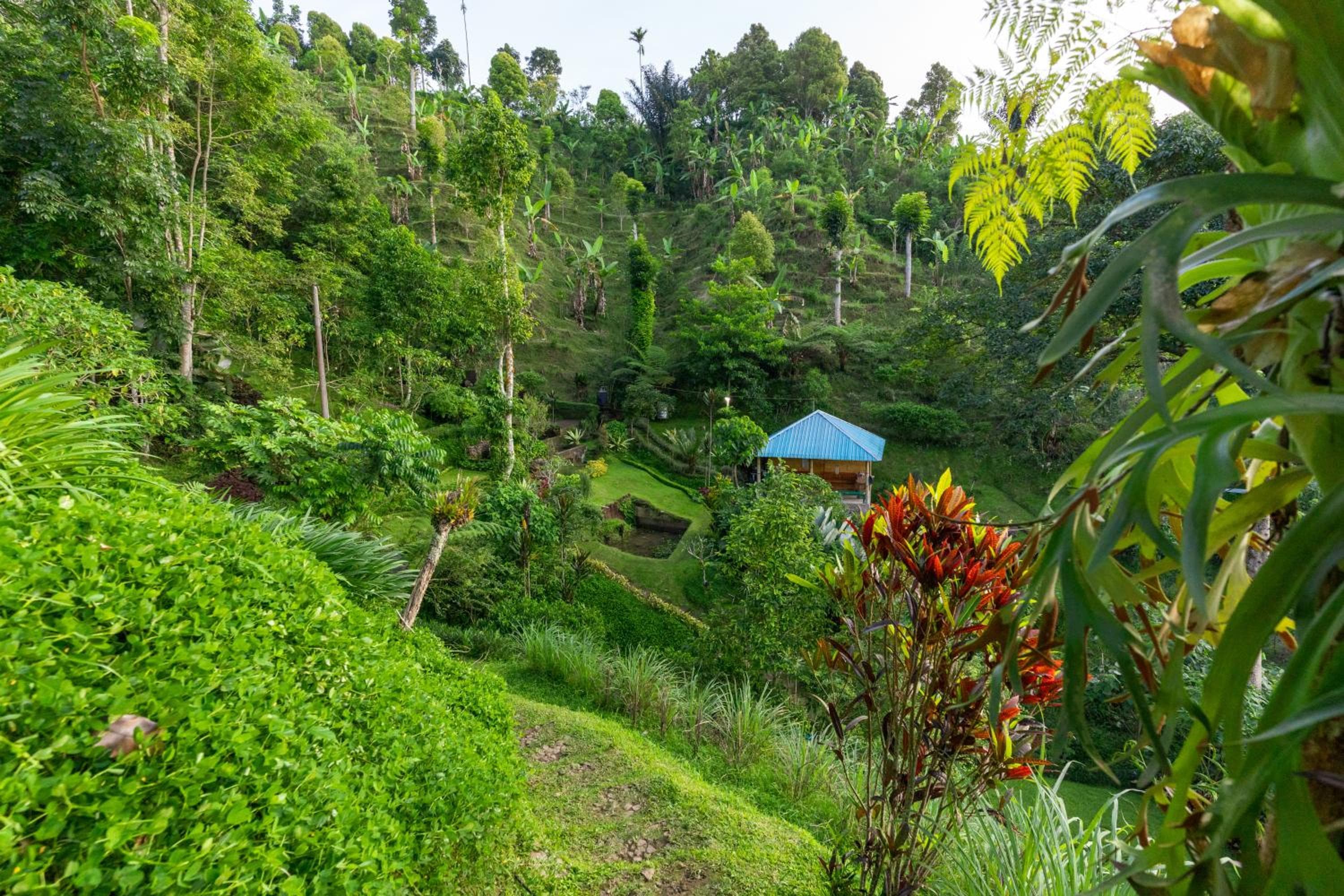 Garden Terrace Bali