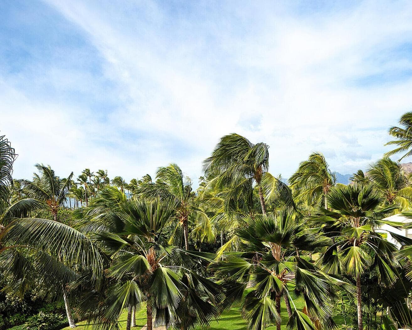 Four Seasons Resort Oahu at Ko Olina