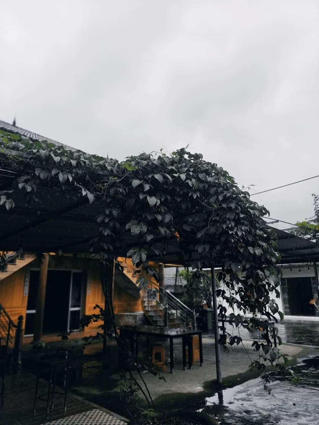 Mình Nghía Homestay