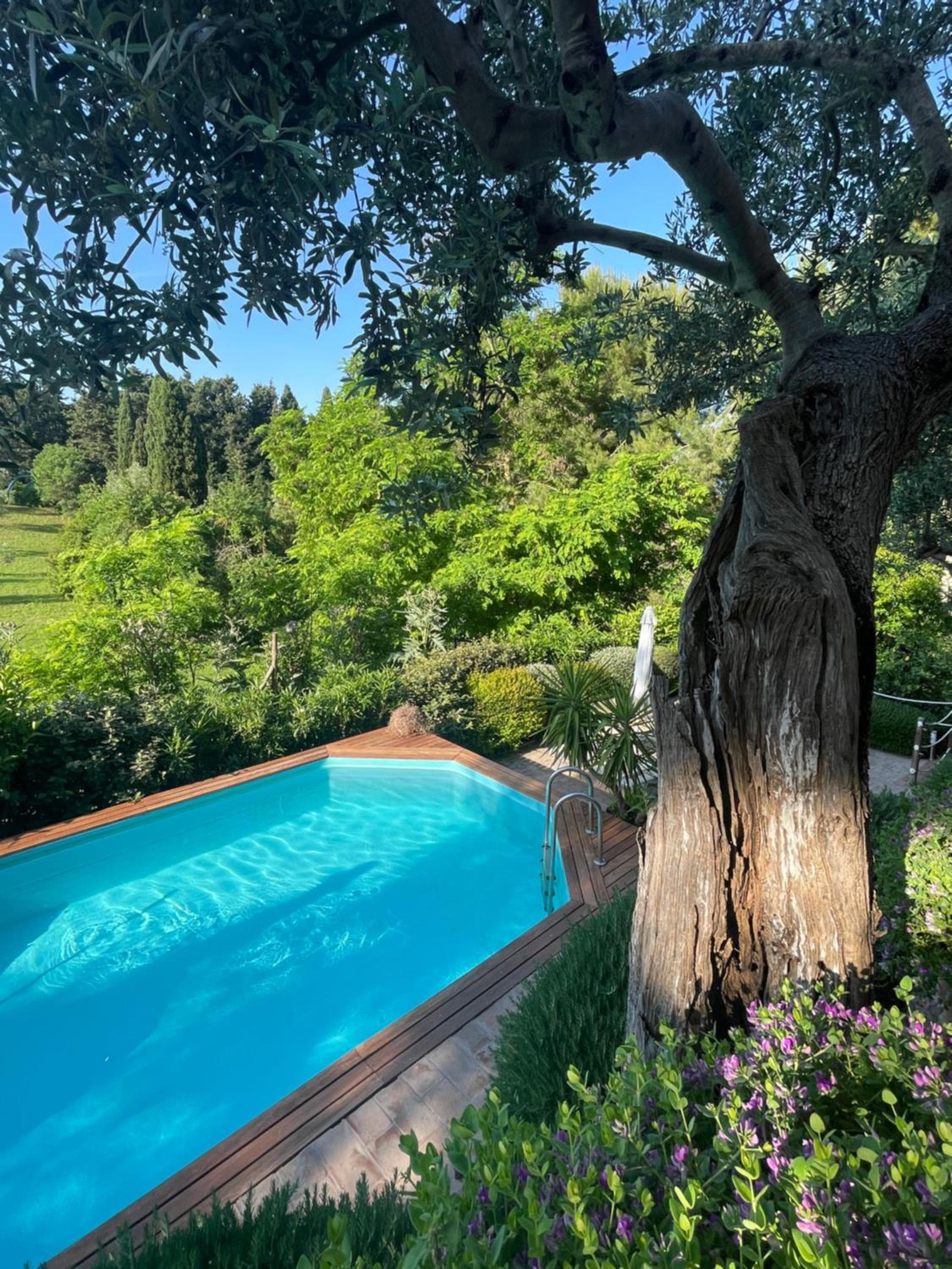 Amore a prima vista b&b