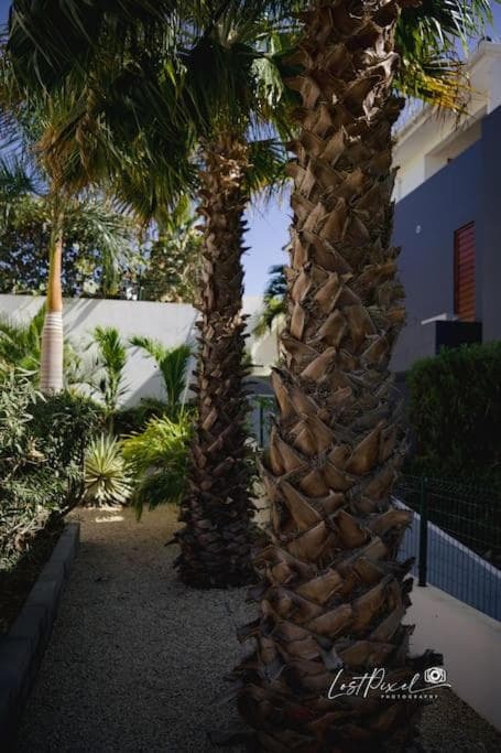 Goudhaen Luxury Private apartments Jan Thiel Beach