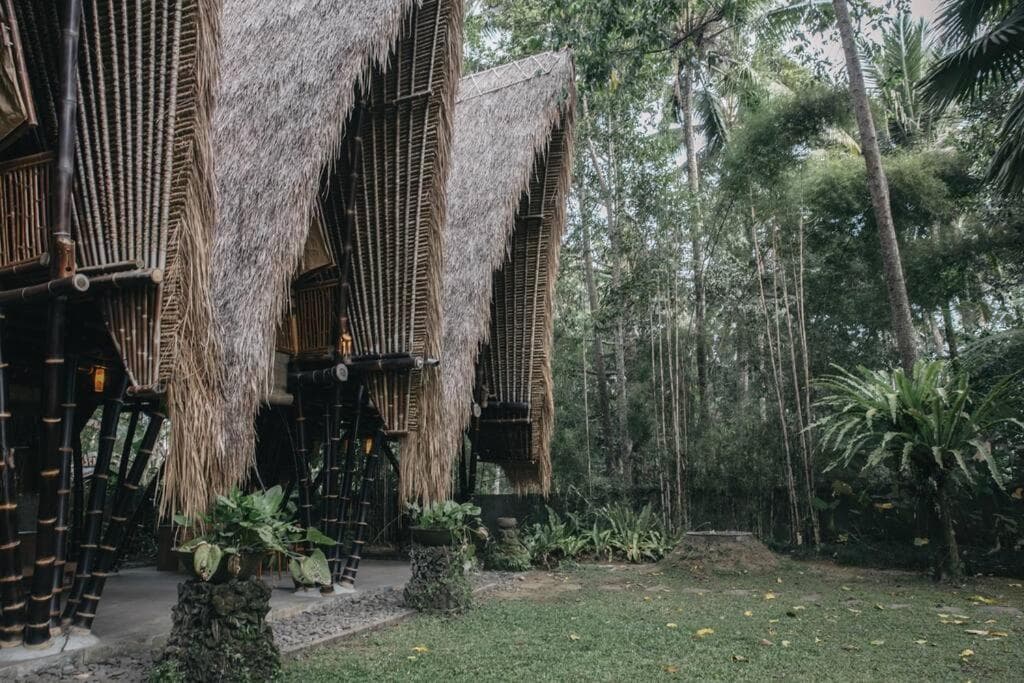 Jungle House Estate