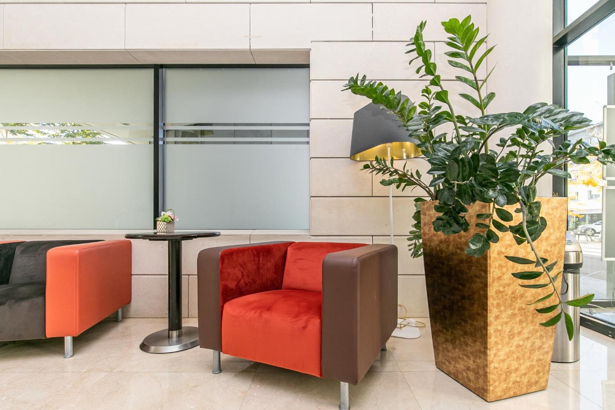 recepcion & lobby