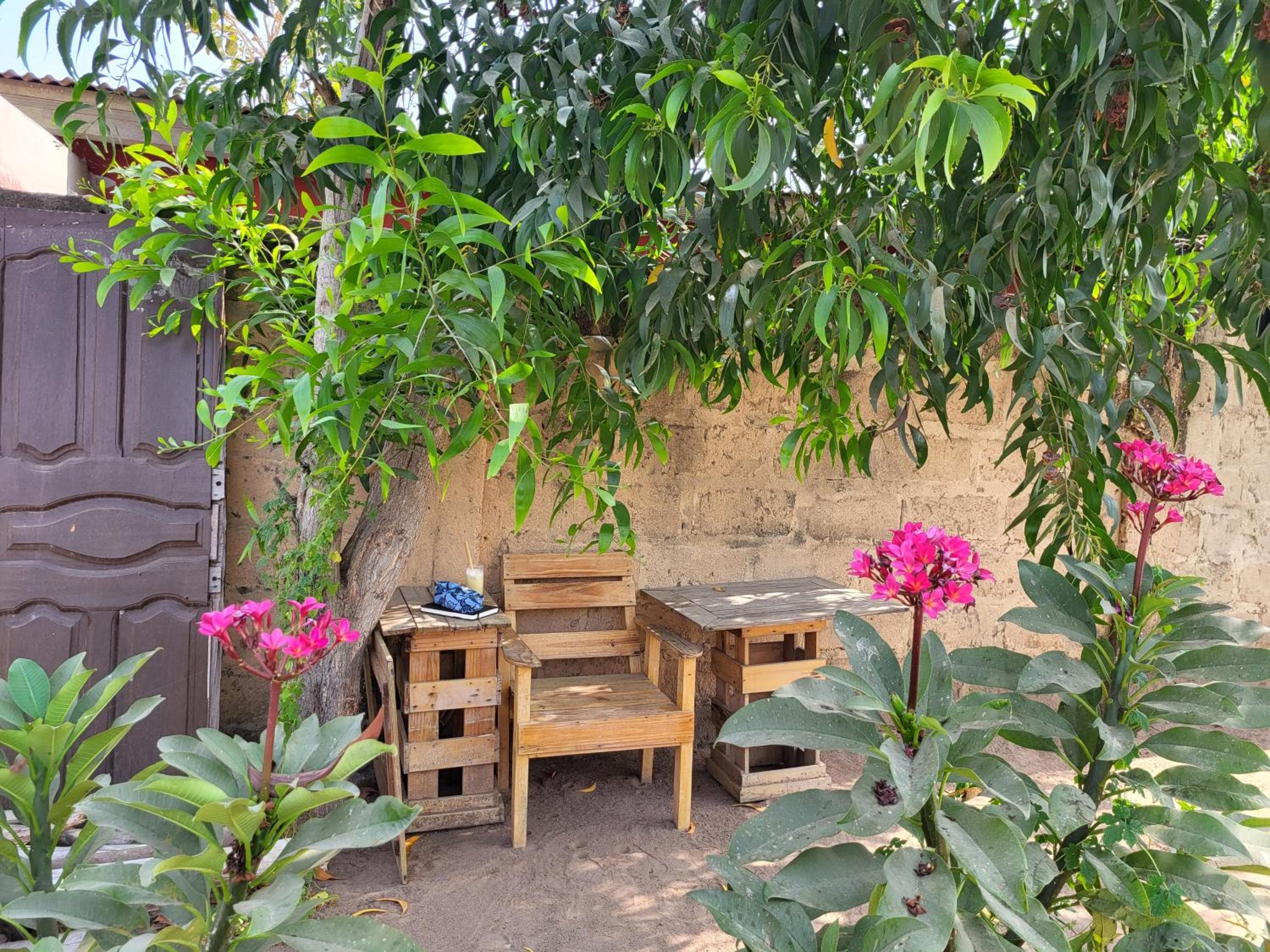 Small Marley's Frontyard