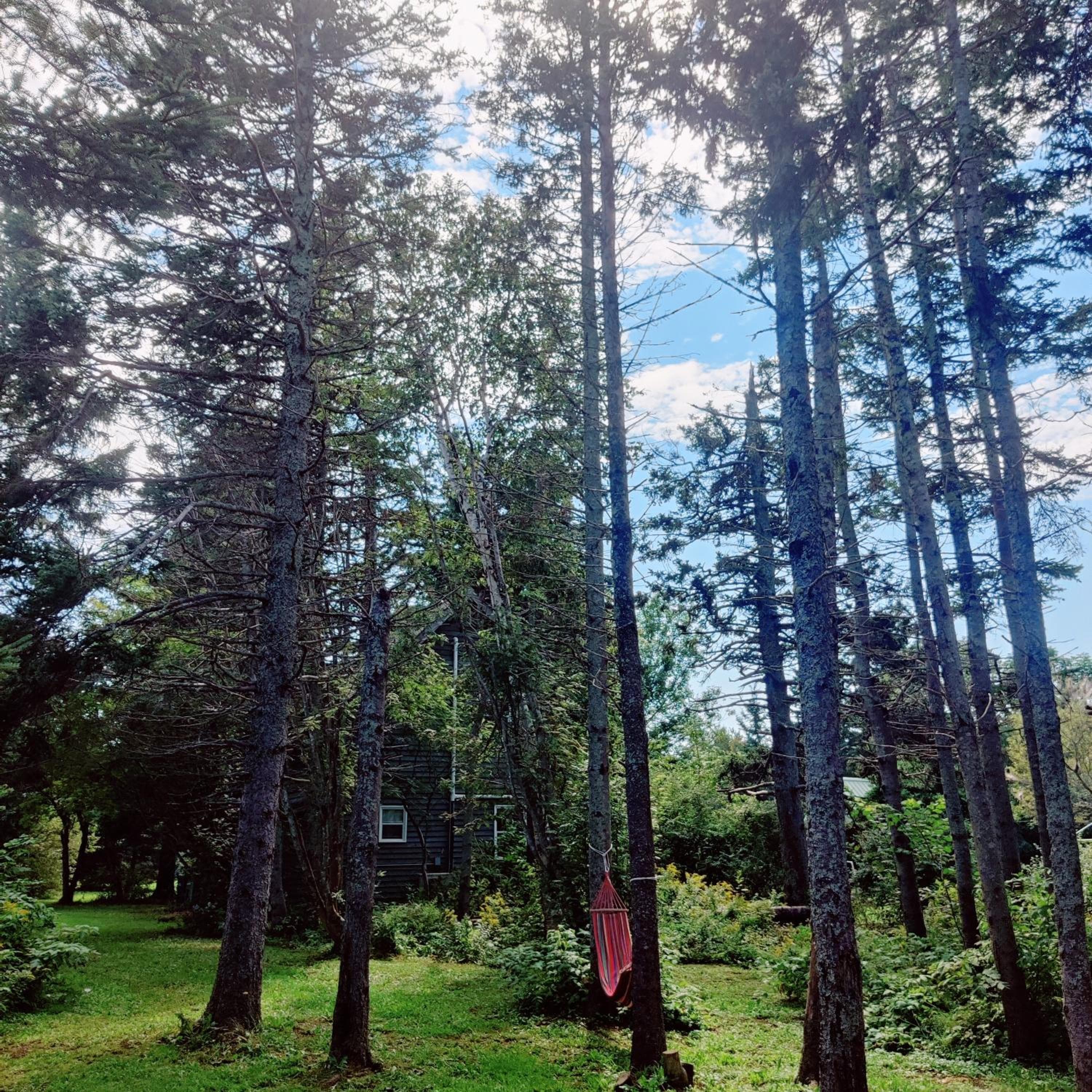 Avonlea Forest Hill Cottages