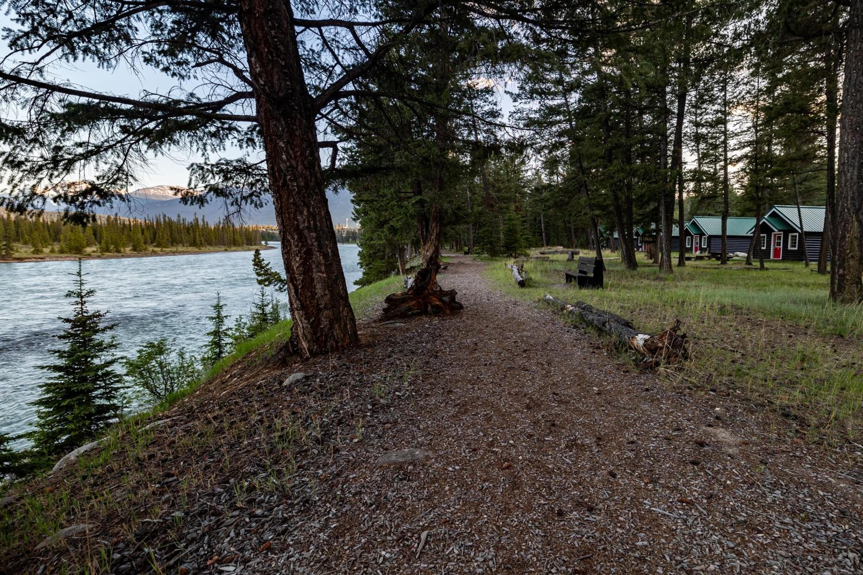 Pine Bungalows