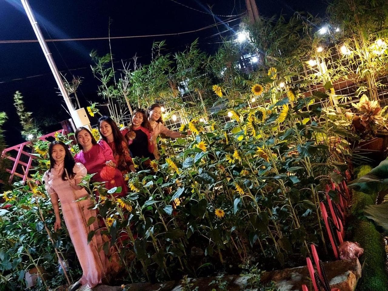 Hồ Tràm Pink House