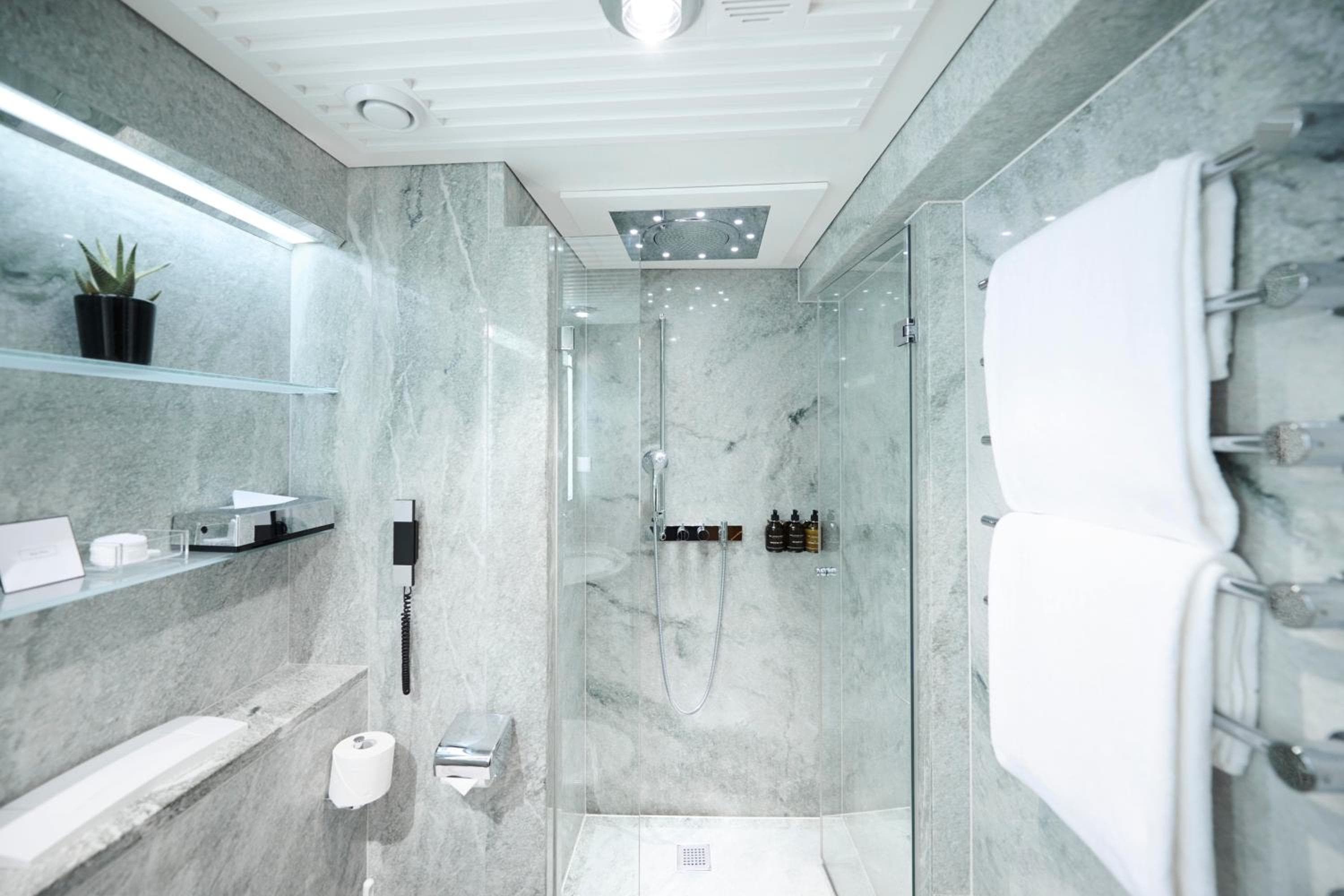 Widder Hotel - Zurichs Luxury Hideaway