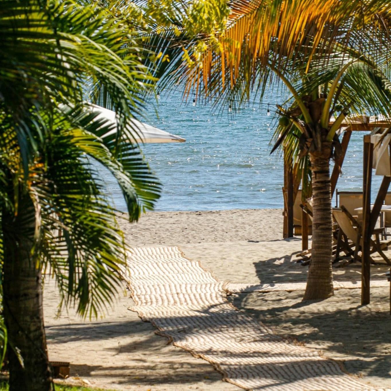 Alamar - Oceanview Condos with Beach Club Resort Access