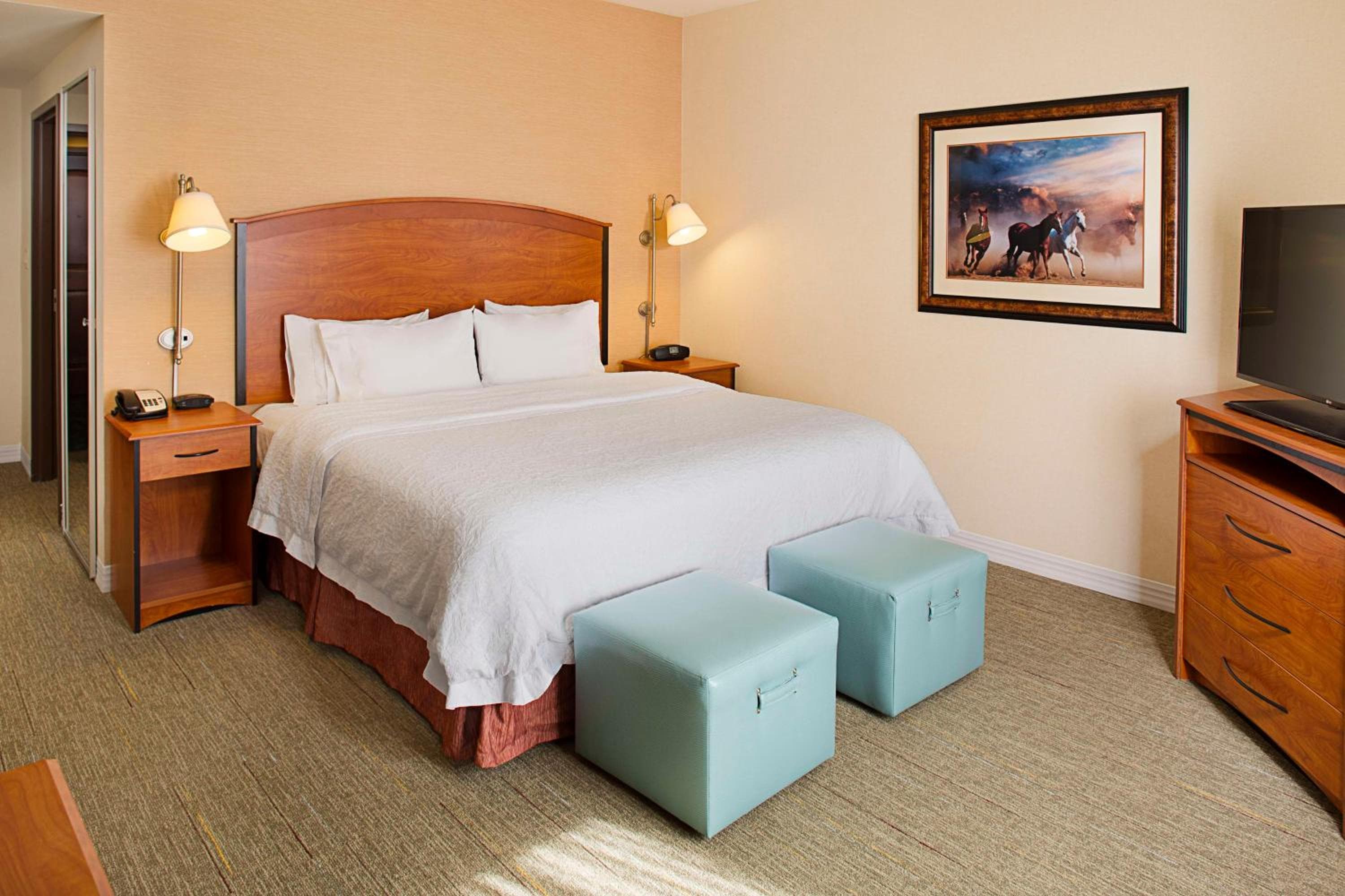 Hampton Inn & Suites - Mansfield