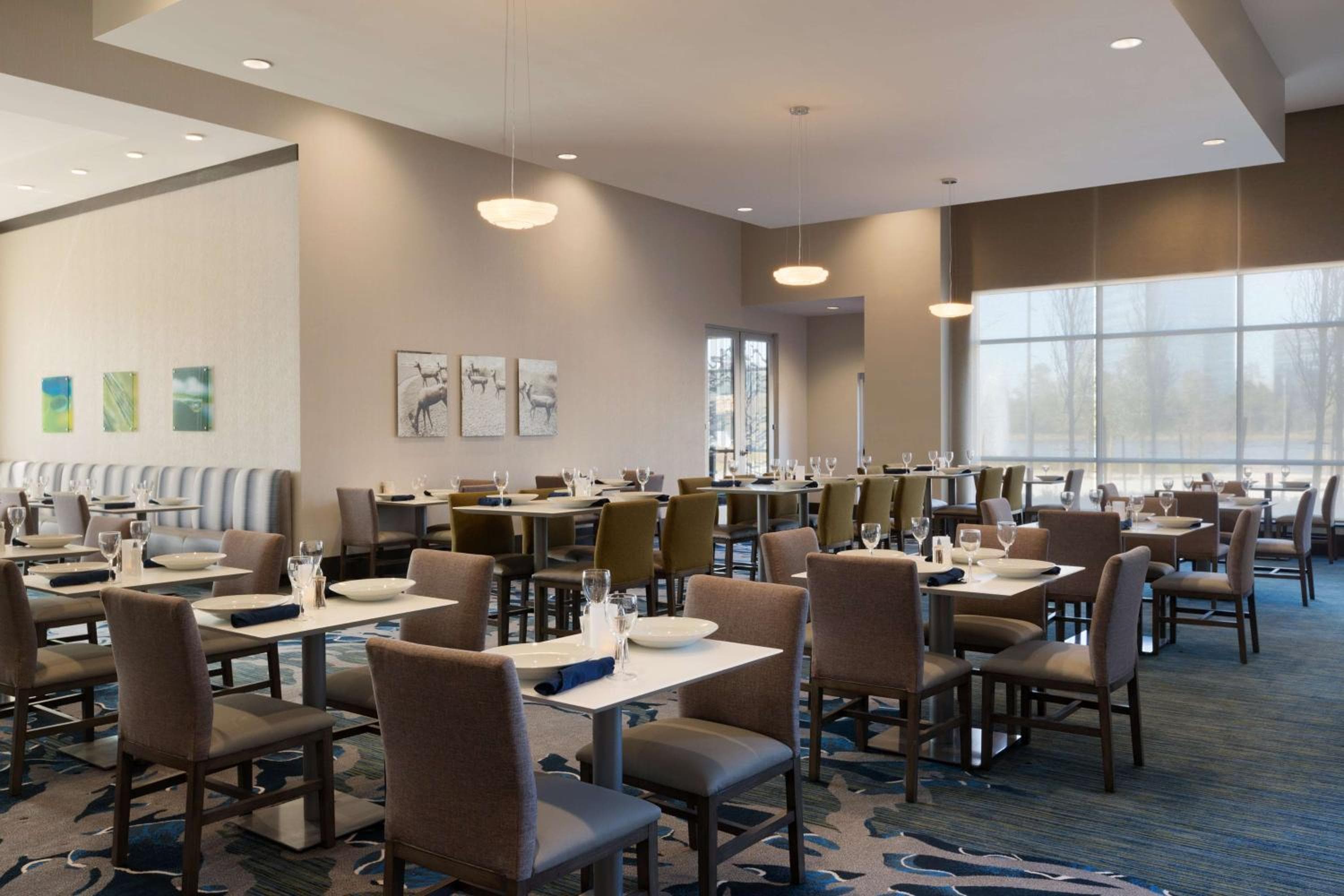 Embassy Suites by Hilton The Woodlands