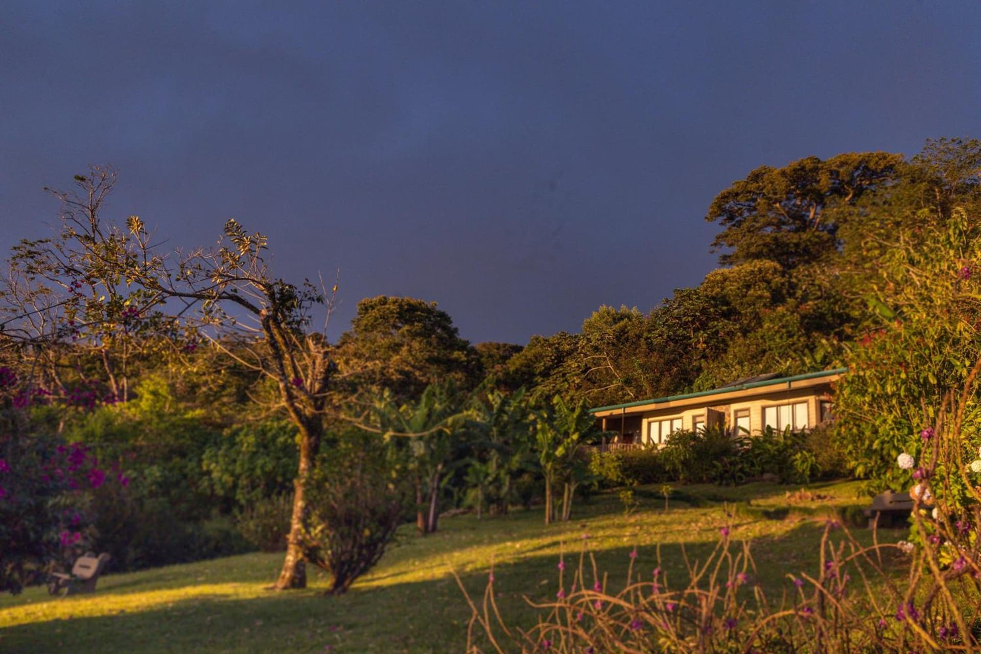 Senda Monteverde Hotel Member of the Cayuga Collection