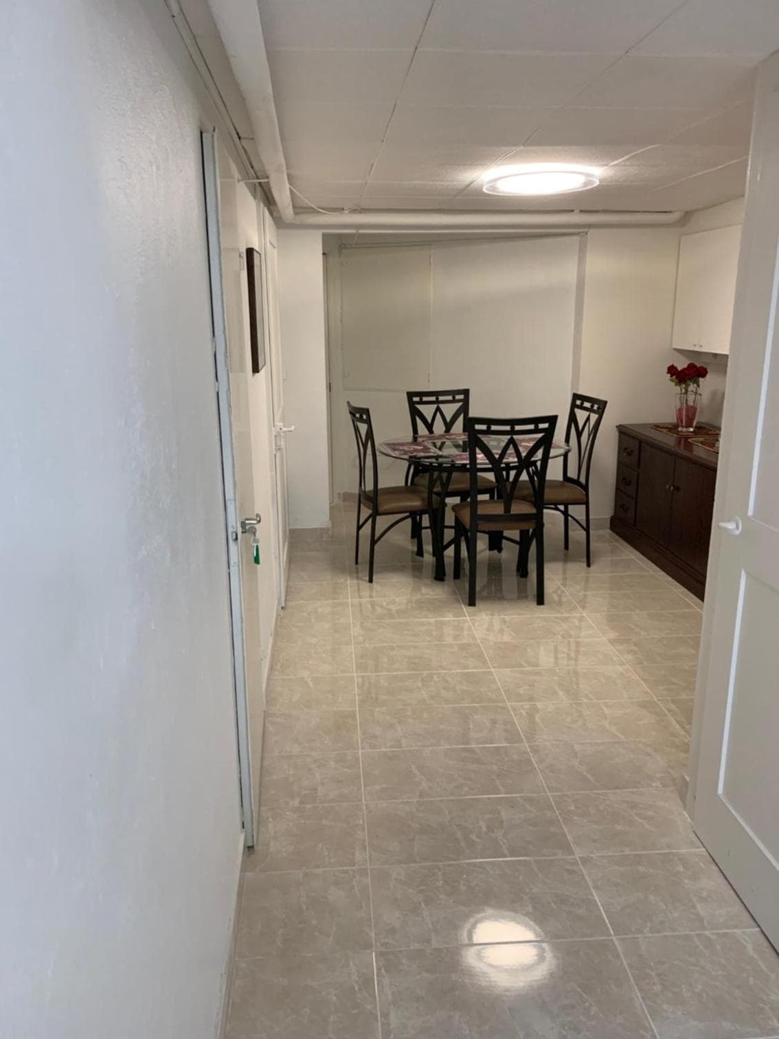 Apartment near Geneva Airport and Palexpo