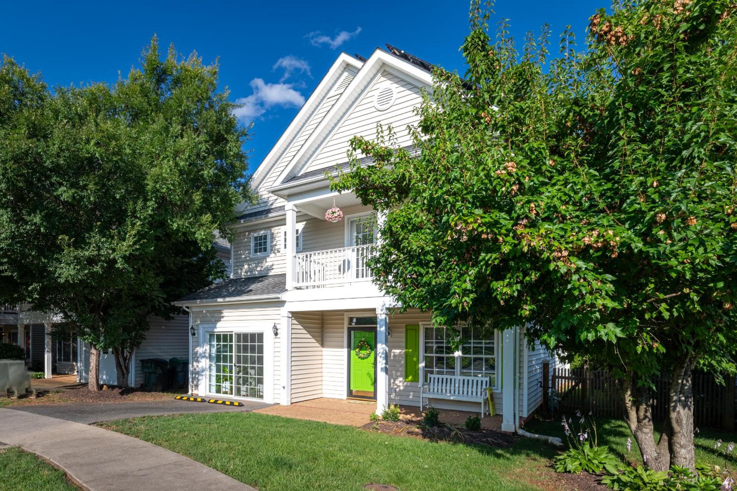 Belmont Oasis I Downtown Cville