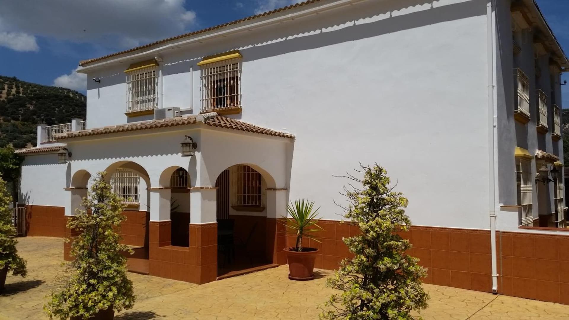Casa Pino Solo