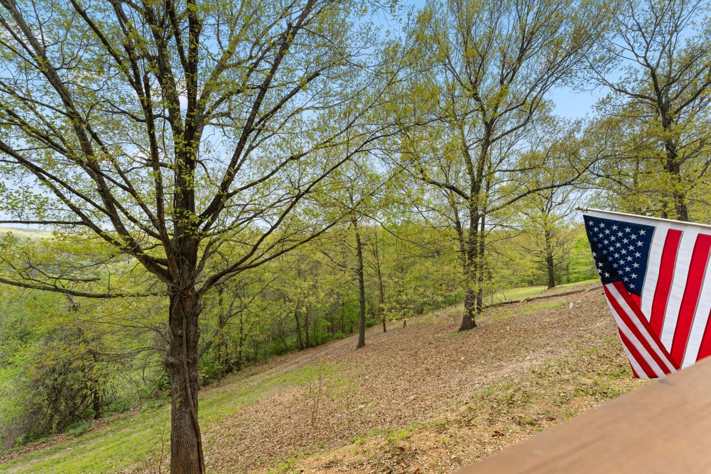 Free Daily Silver Dollar City Tickets & other Branson attractions! Cozy Branson Condo, Lower level, WALK-IN