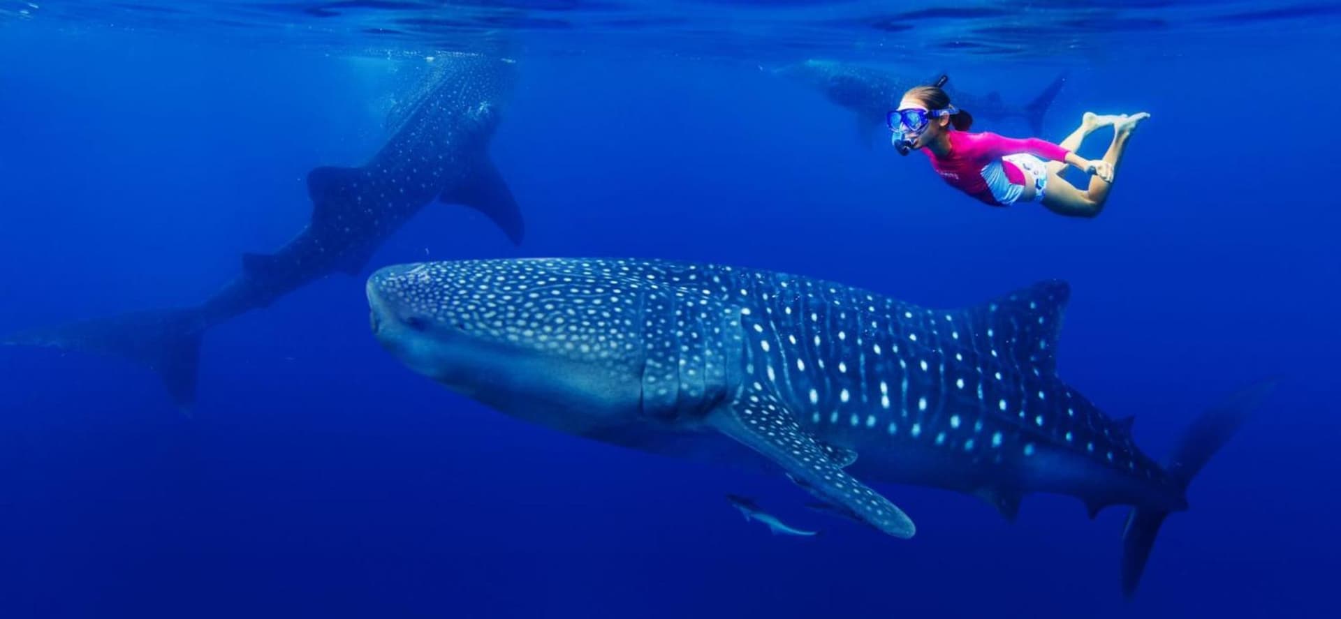 Madi Grand Maldives