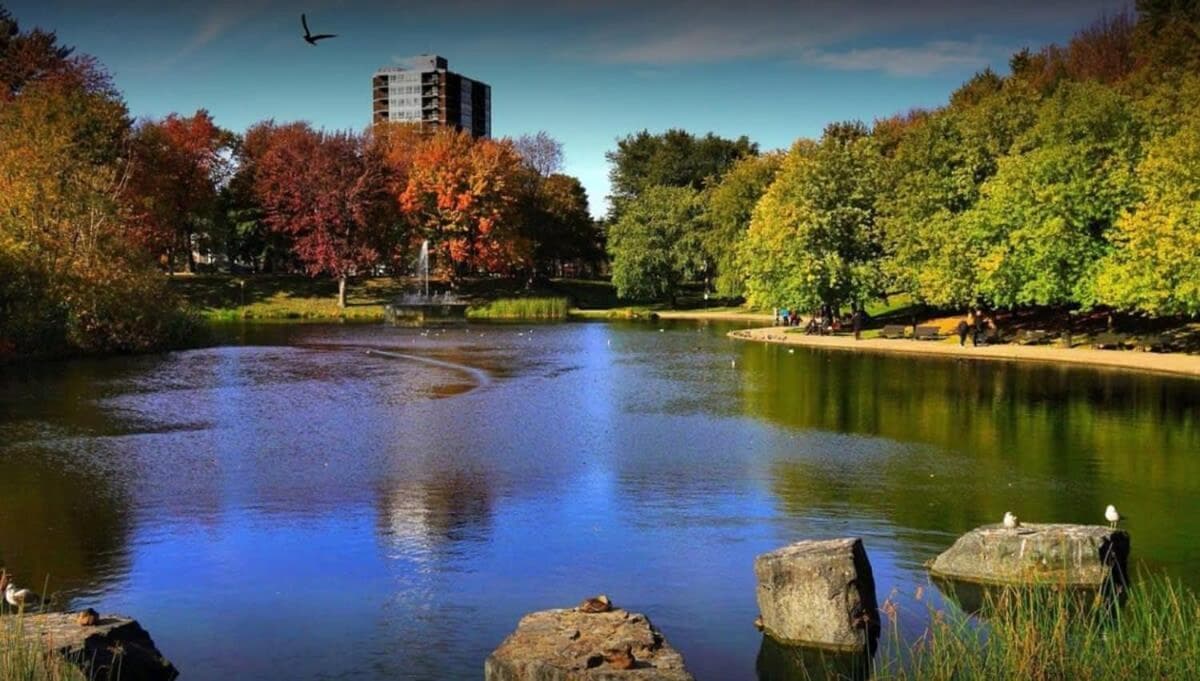 Group Stay on Mont-Royal Ave with Free Parking