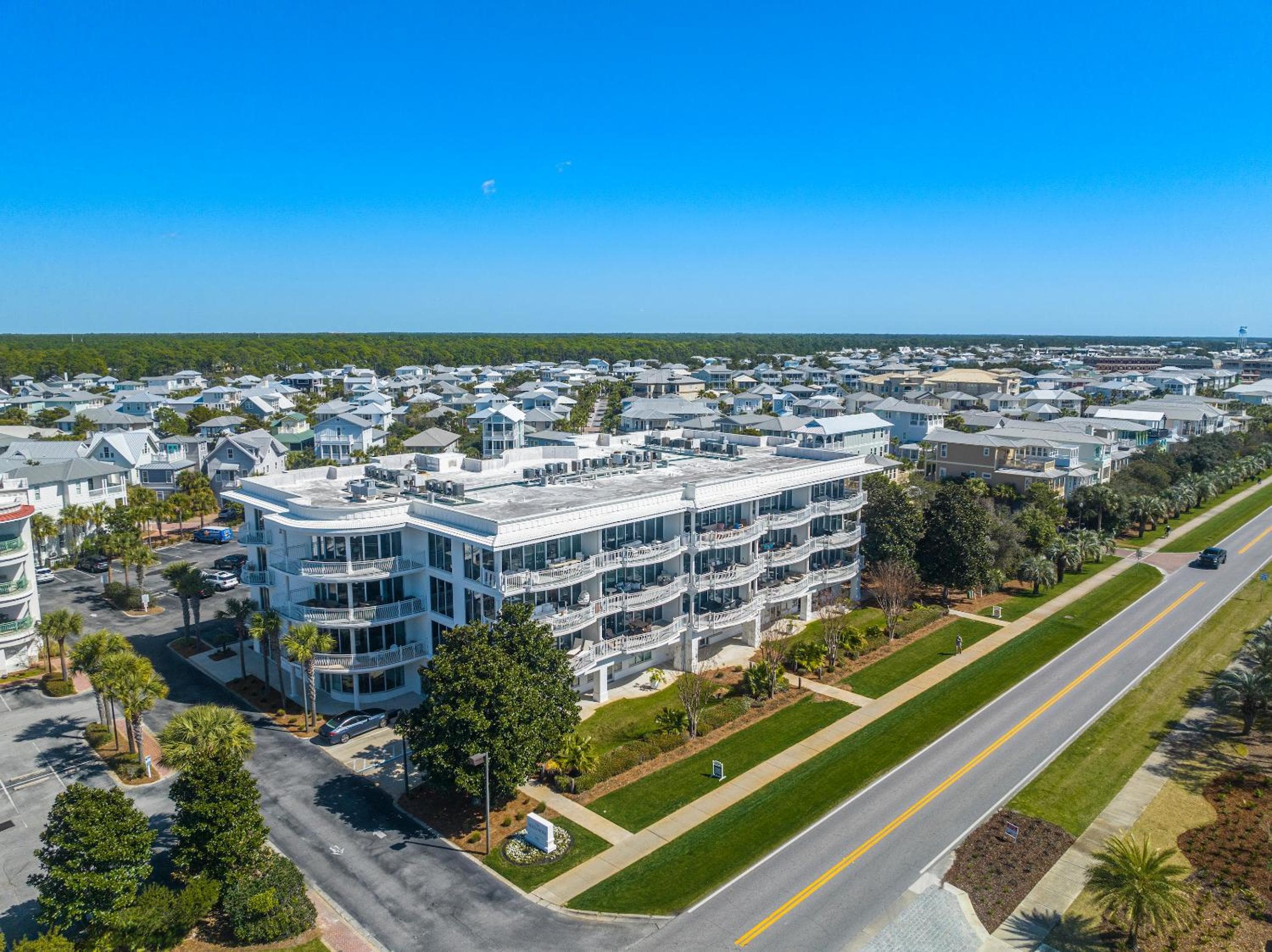 The Alexander