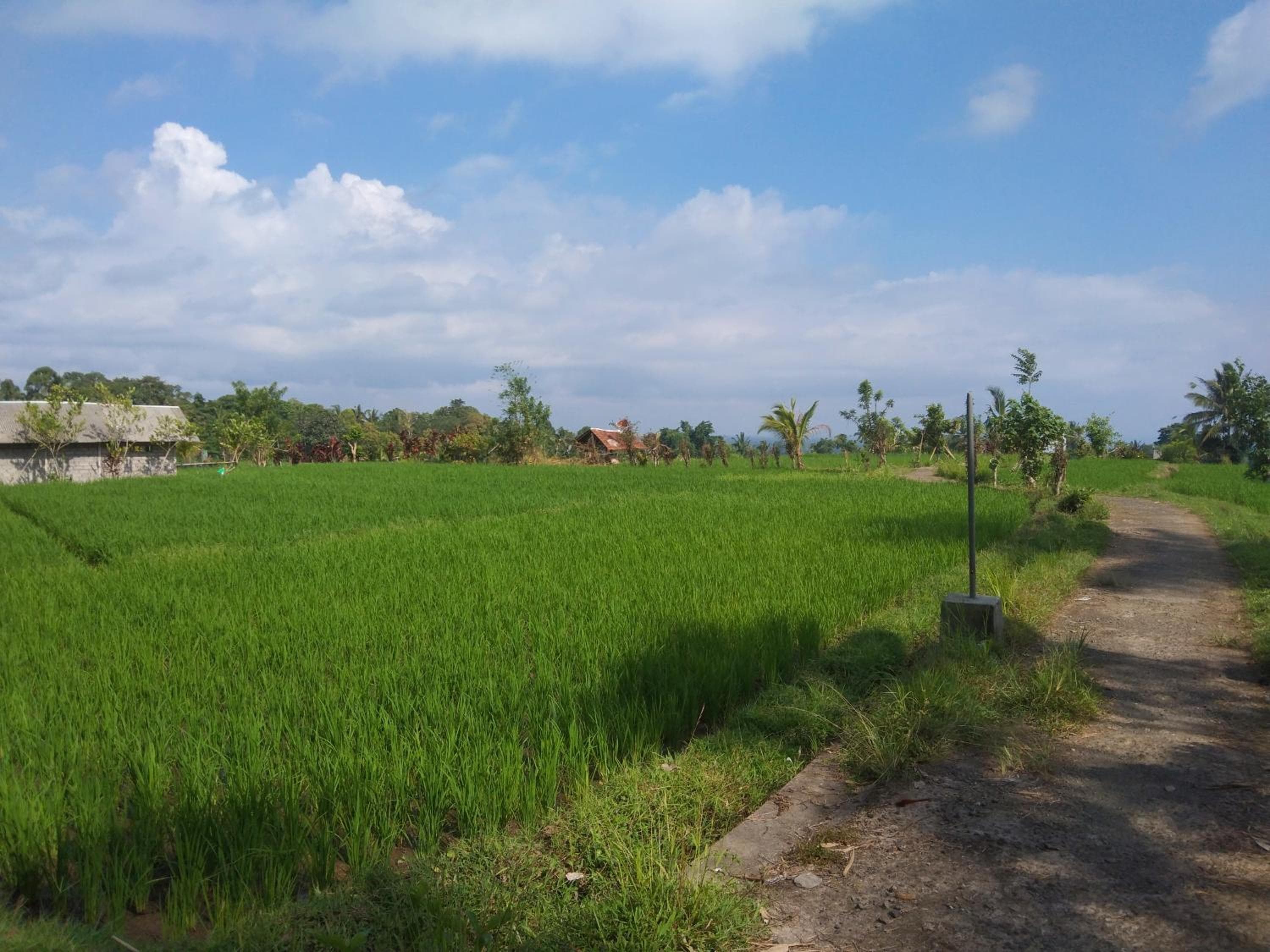 Trinadhi Homestay