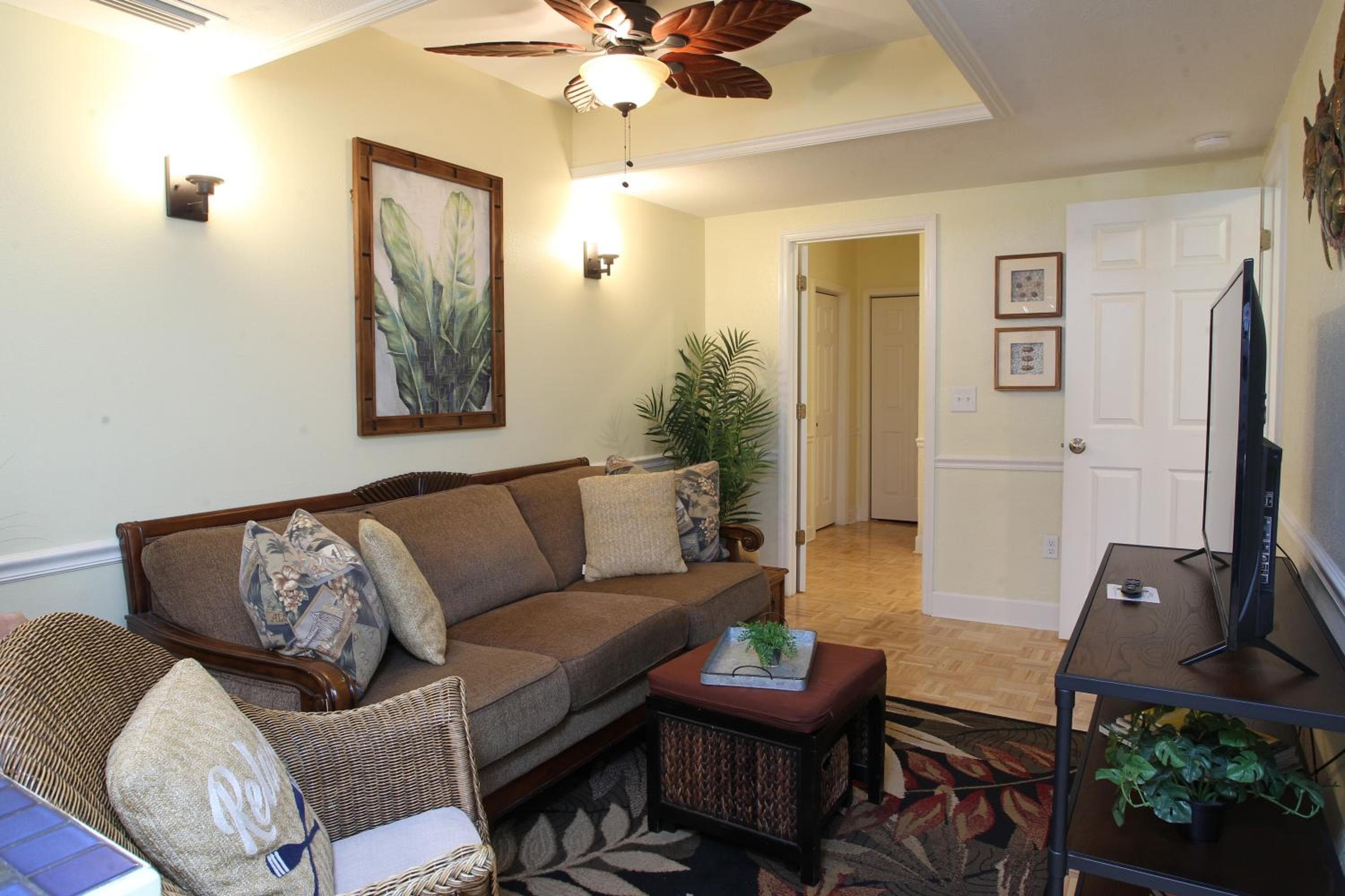 2 Bedroom Apt Overlooking Dunedin Town Square NO KIDS, NO PETS