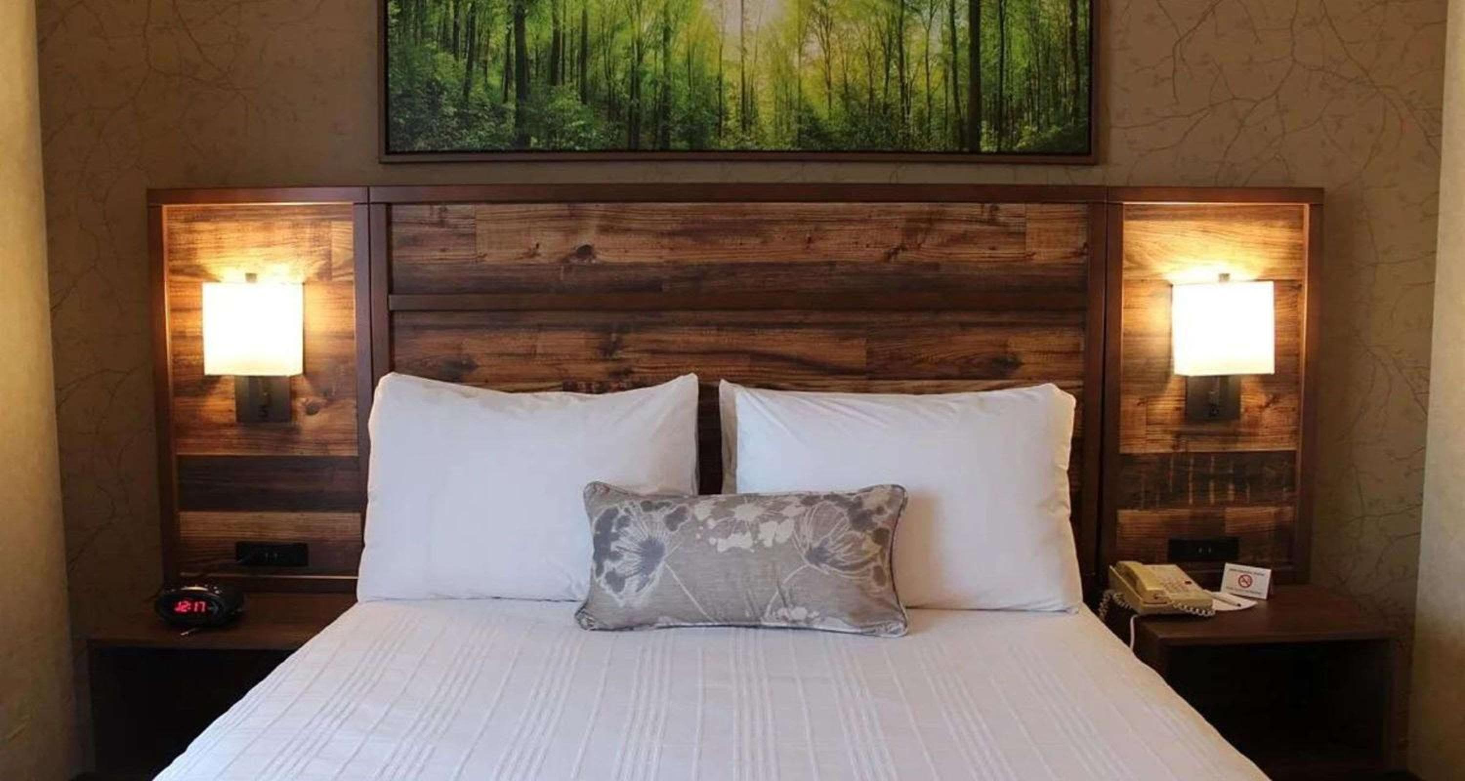 Best Western Plus Valemount Inn & Suites