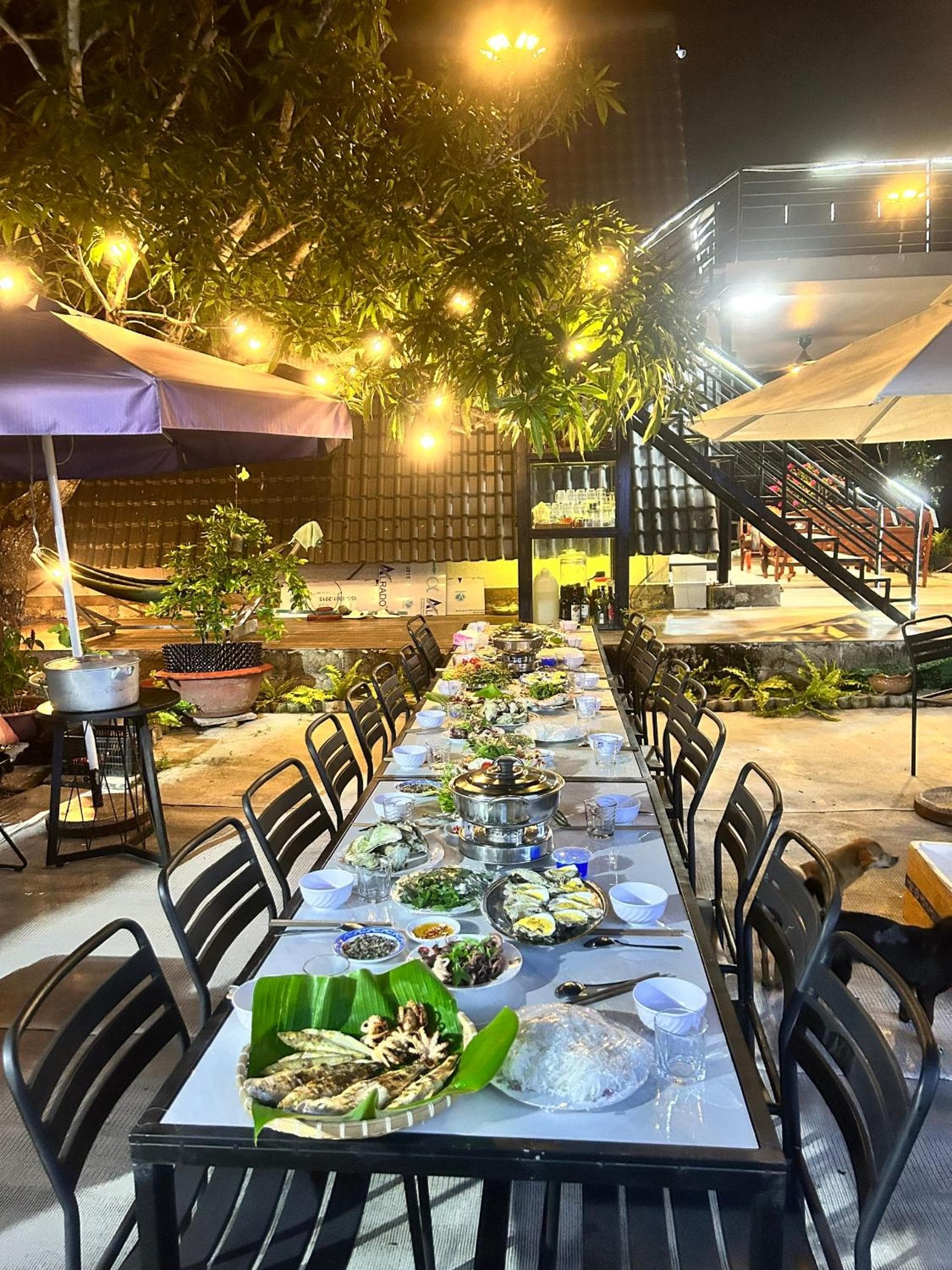 Homestay Á Âu Family