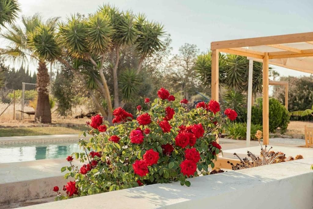 Charming Ibiza villa