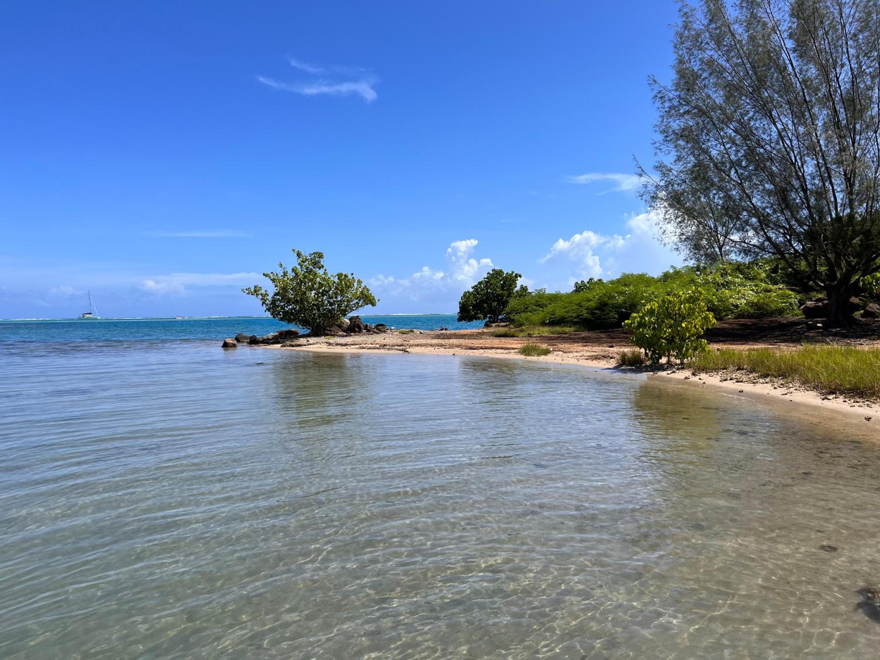 Villa Ho'a - bord de mer avec piscine