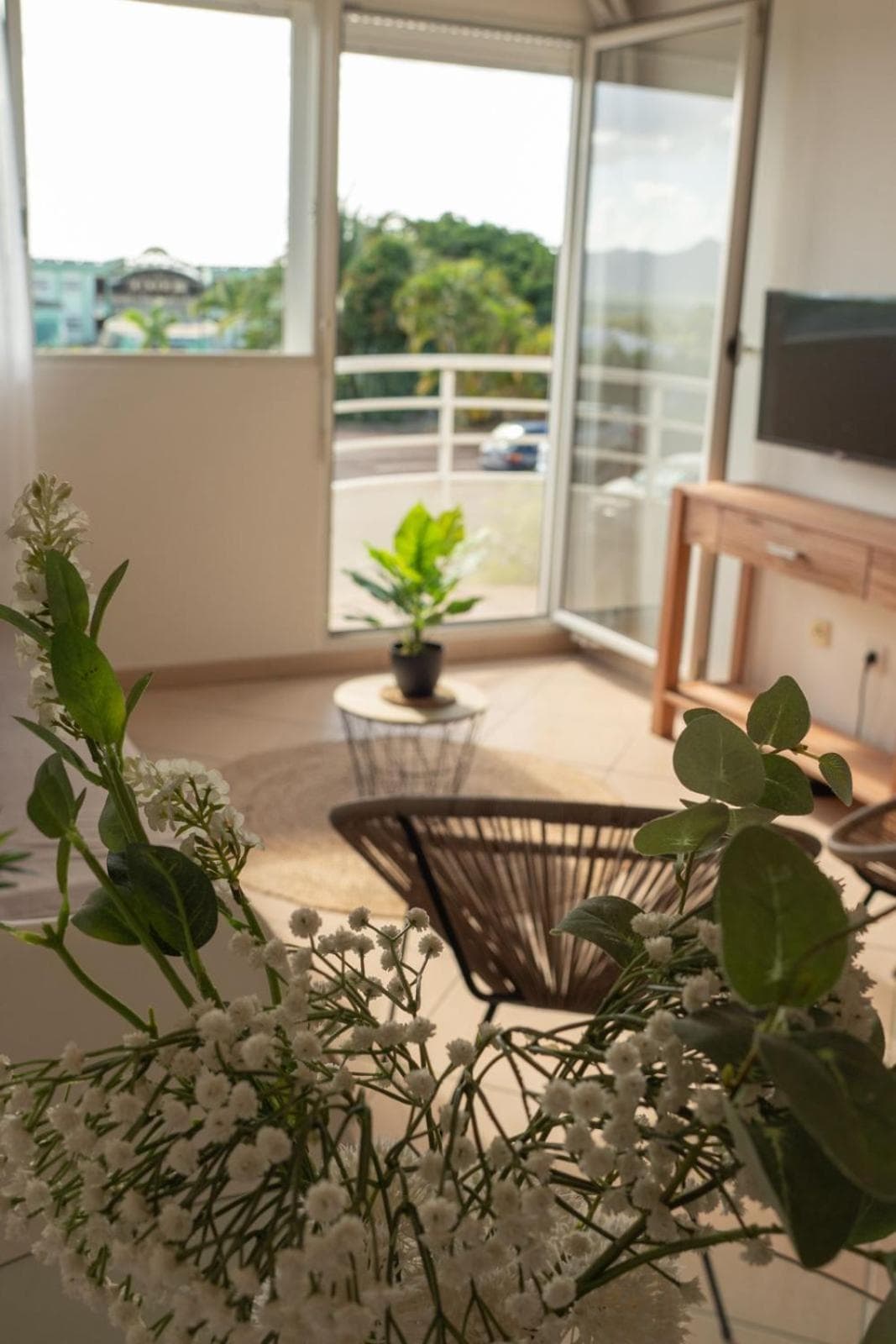 Appartview972