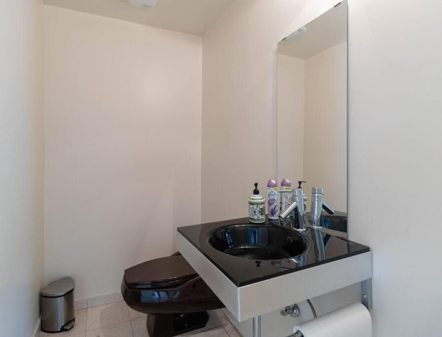 Urban oasis-lake/beach/boat in city. Sleeps 8-12.