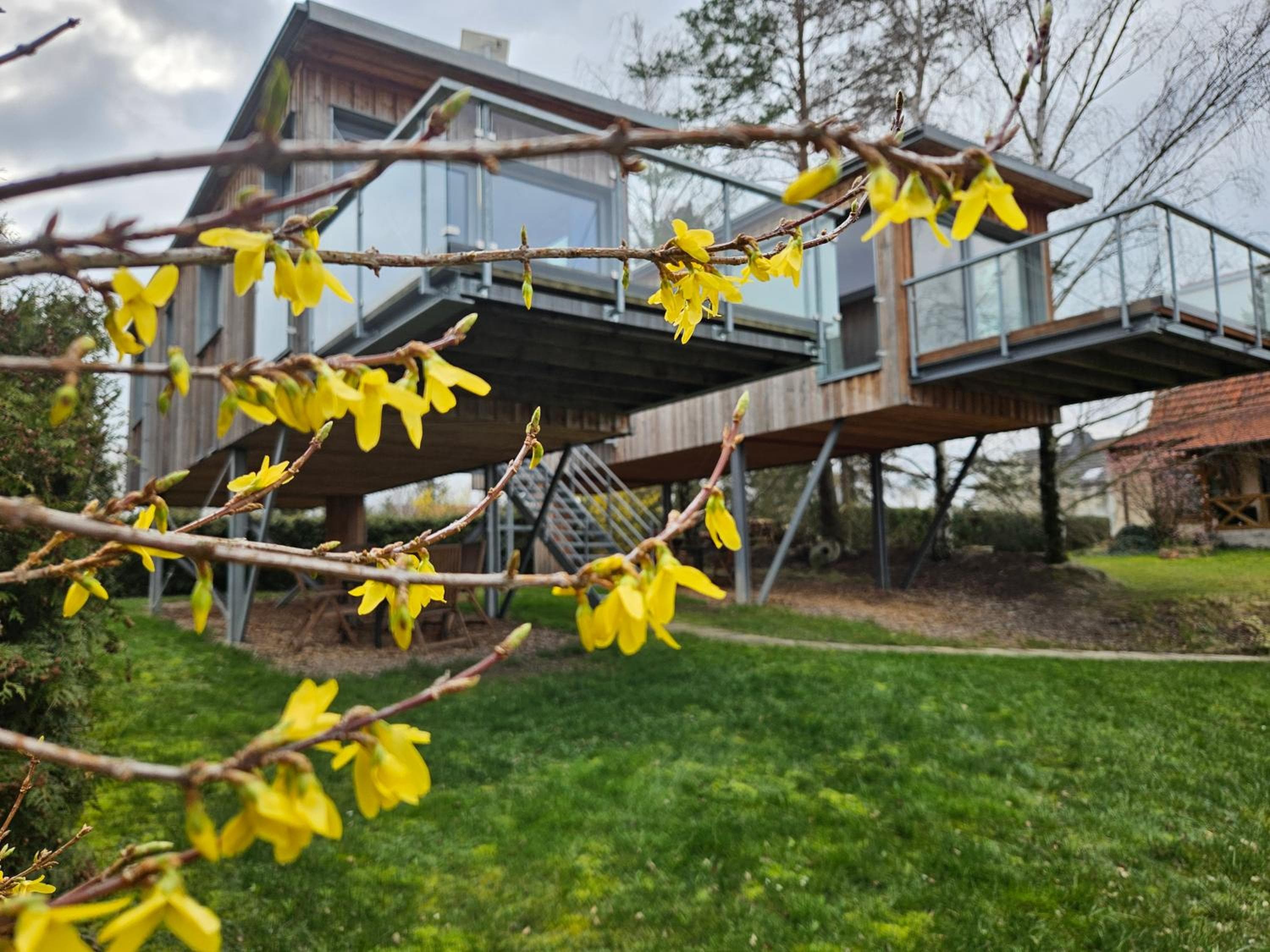 Baumhaus und Tinyhaus