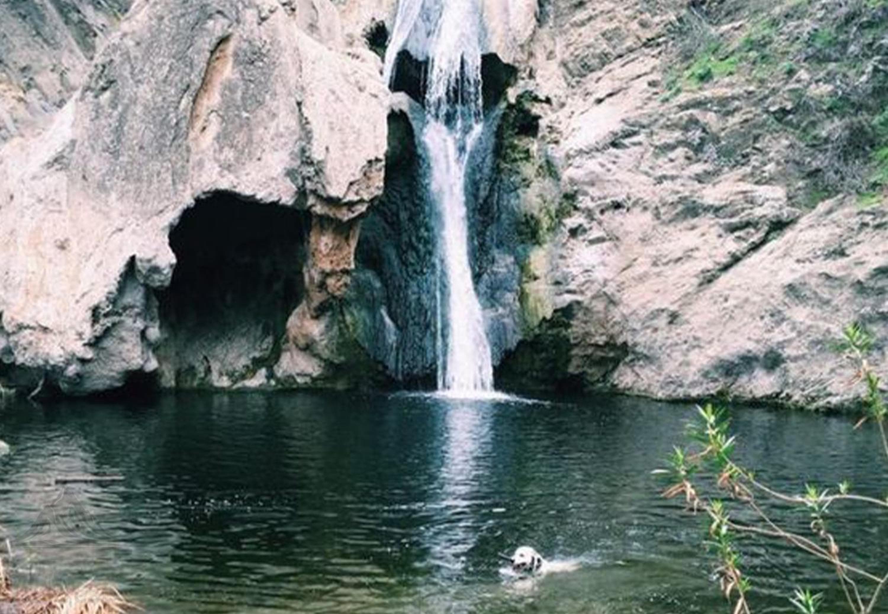 The Creek Retreat - Totally private 1Br/1Bd