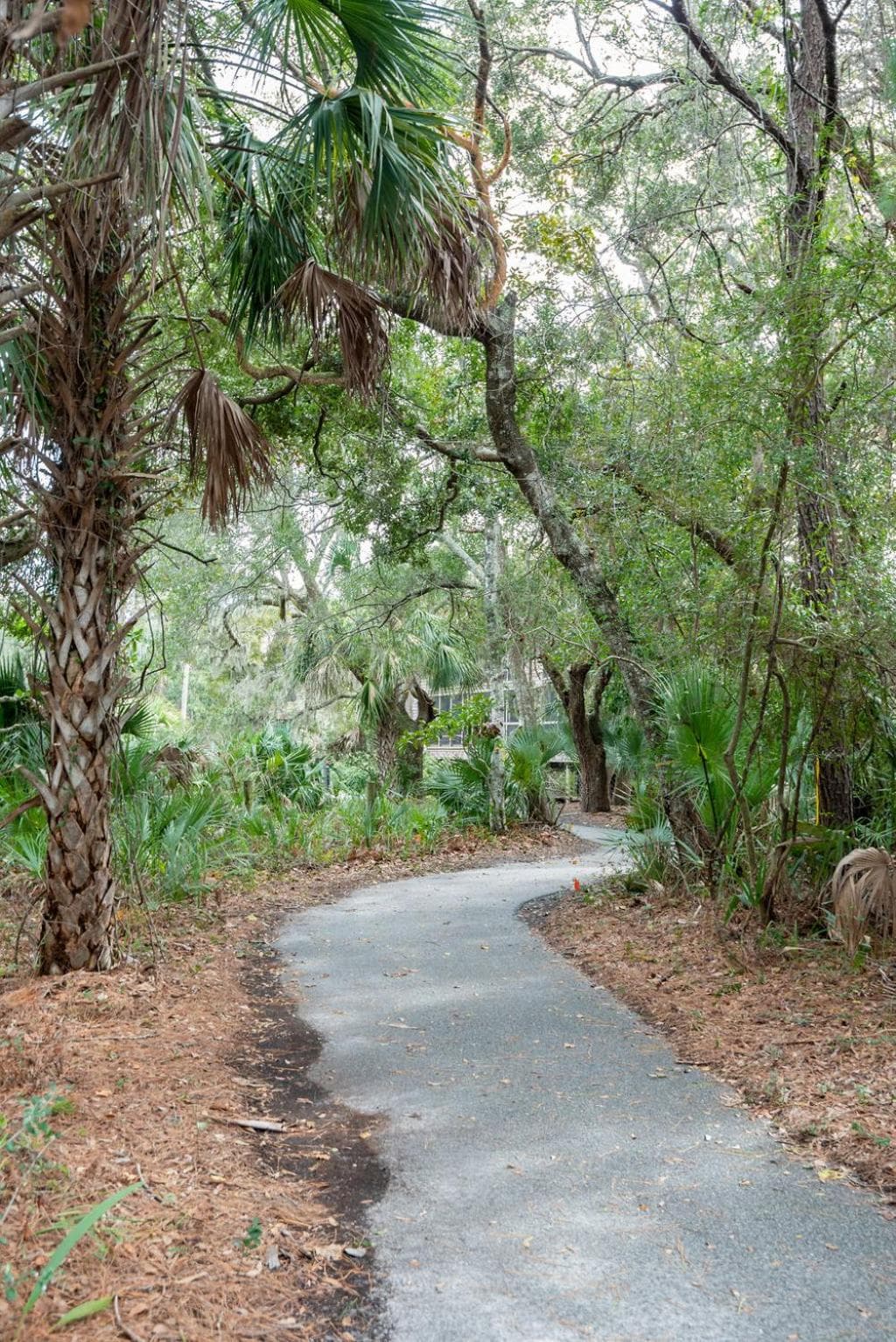 478 Oceanwoods Cottage Lagoon View