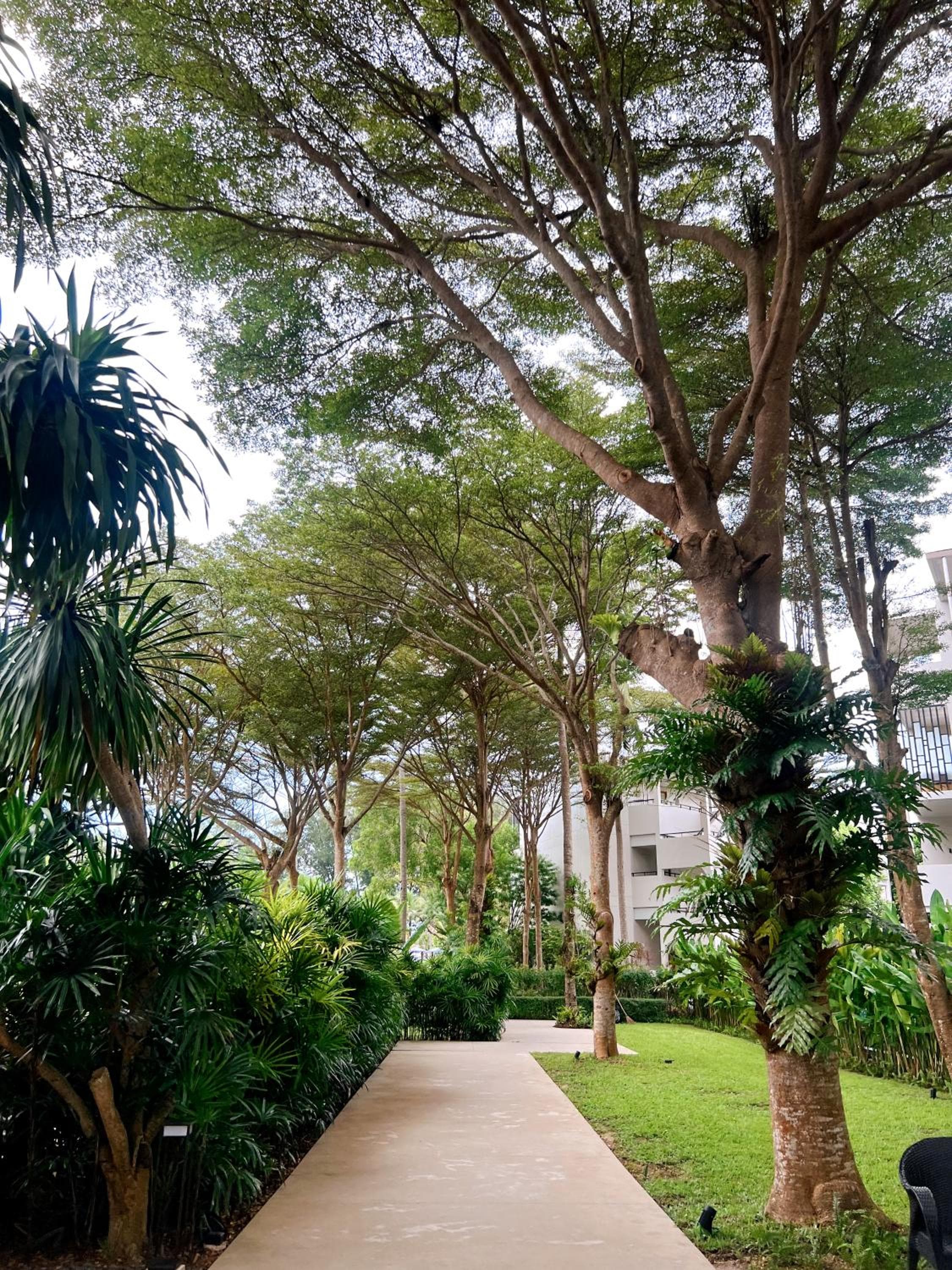 Le Meridien Phuket Mai Khao Beach Resort