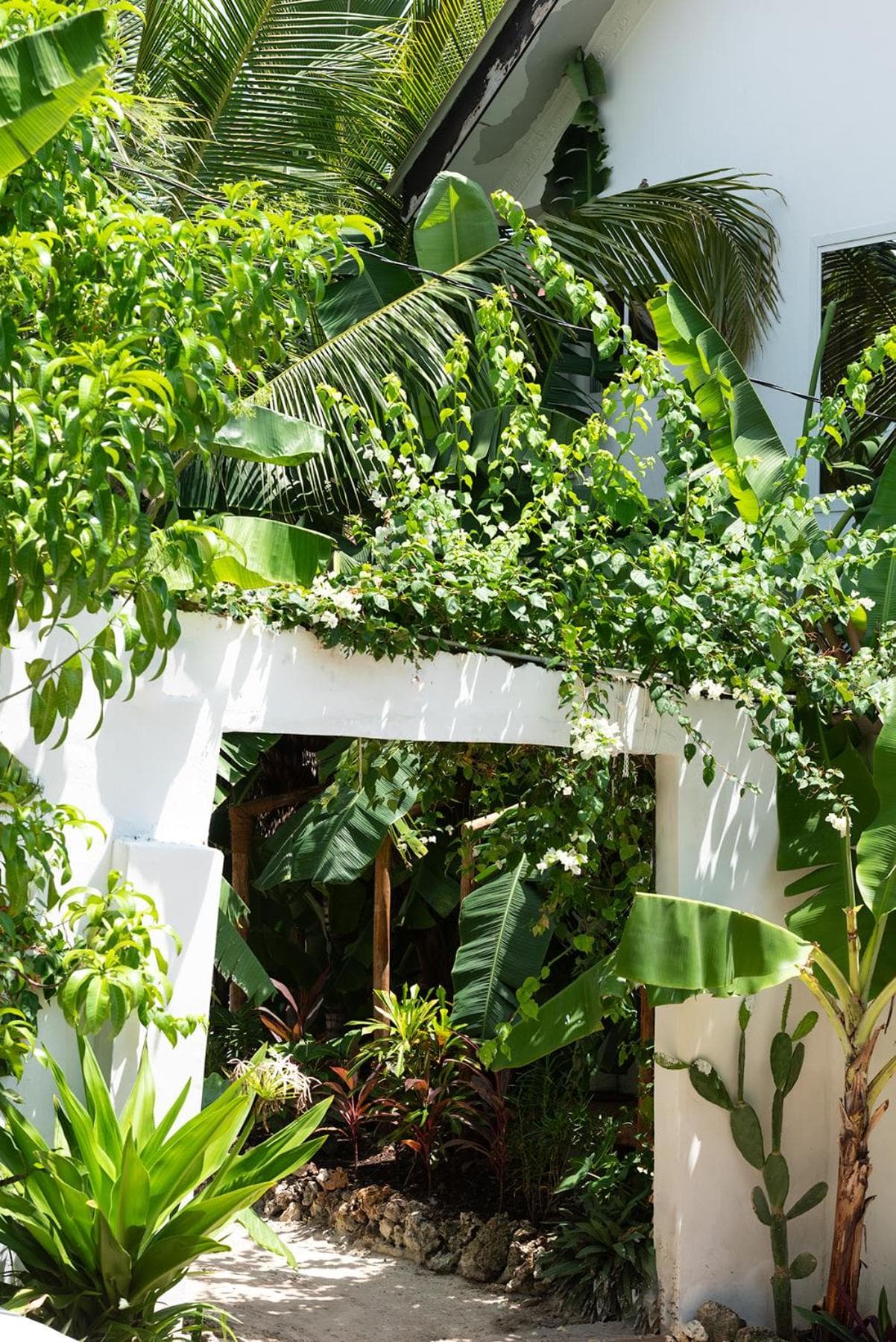 Dar Mar Hostel & Coworking