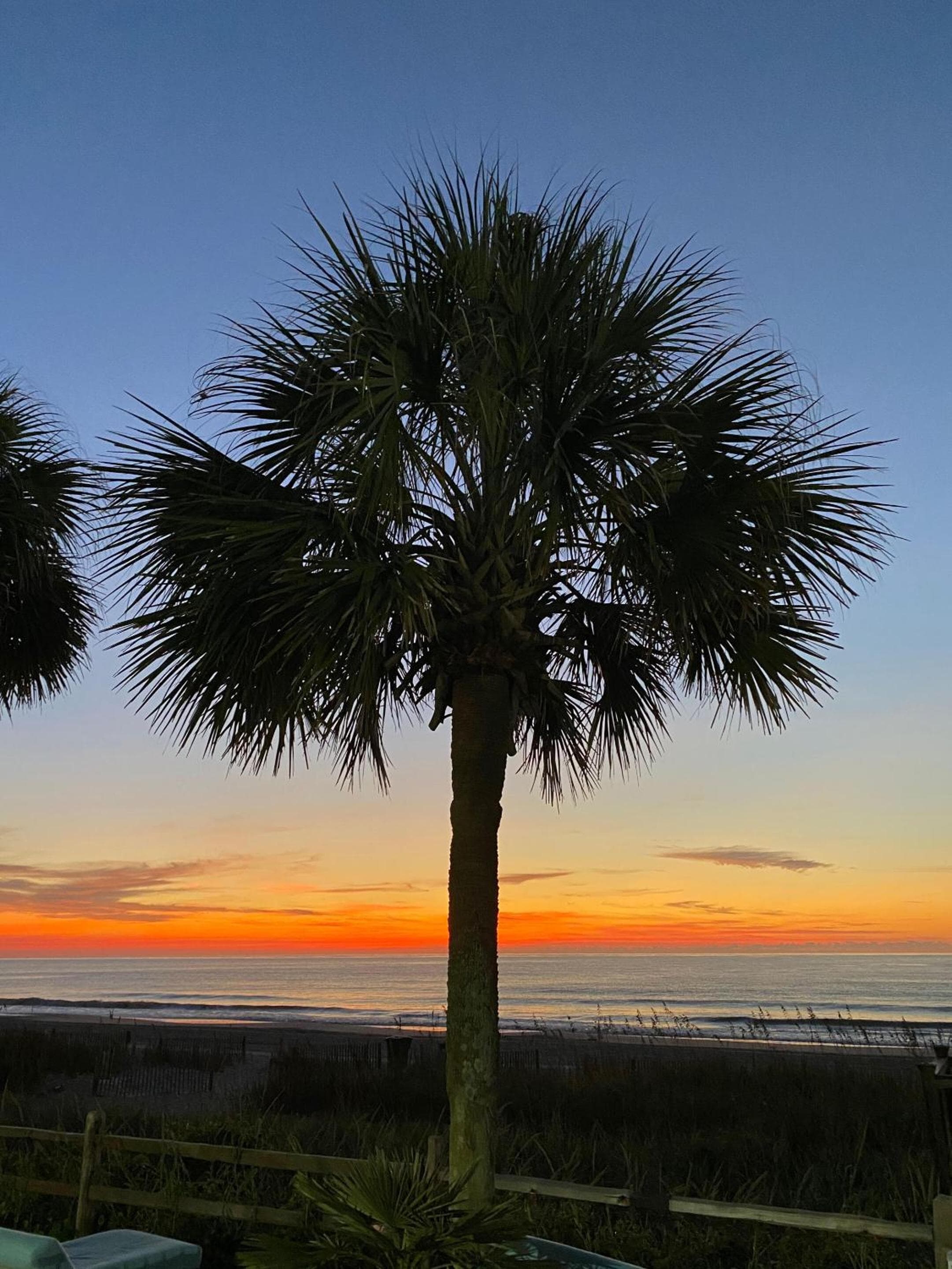 Blue Palmetto Vacation Rentals