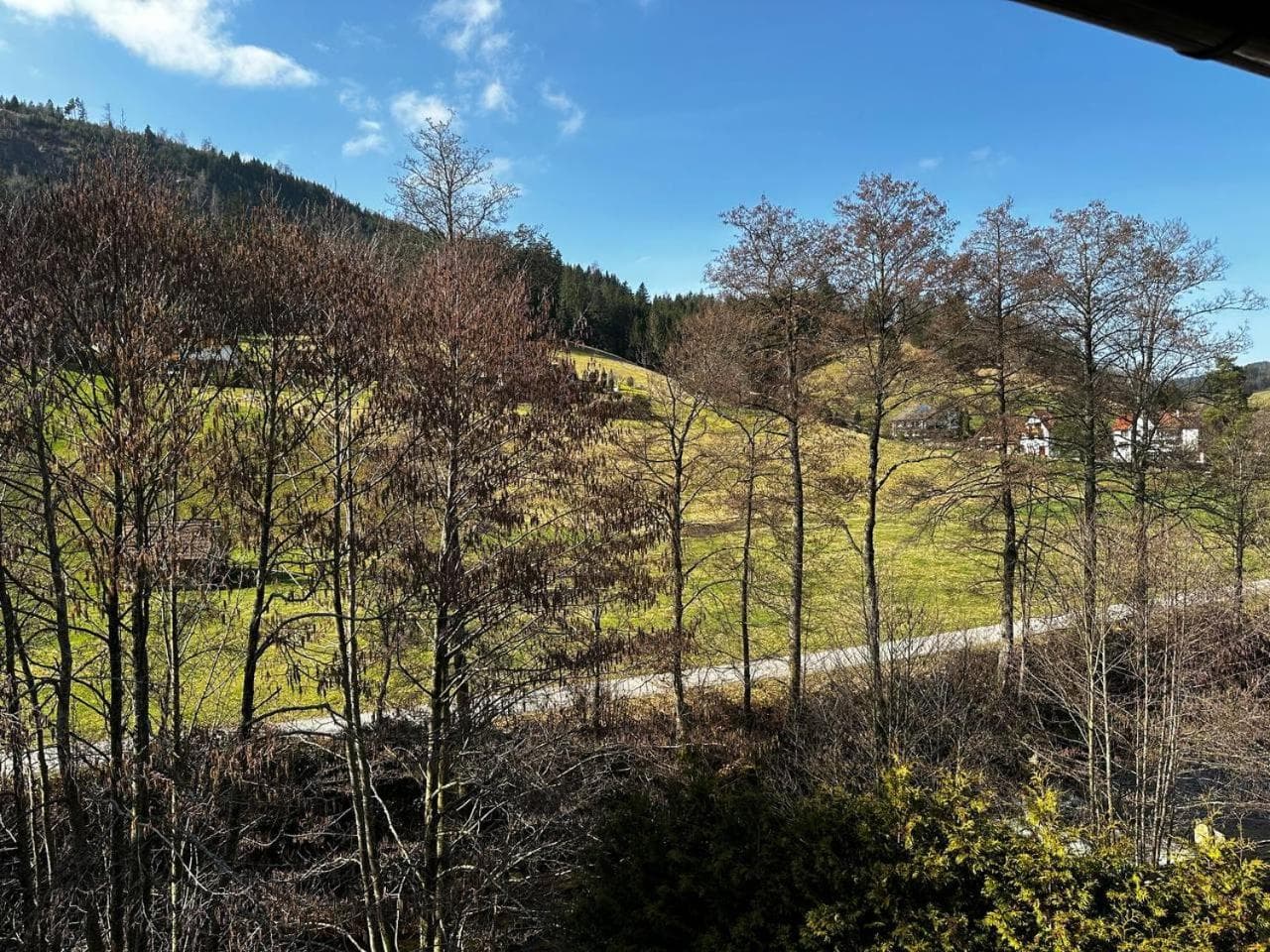 Schwanen-Resort