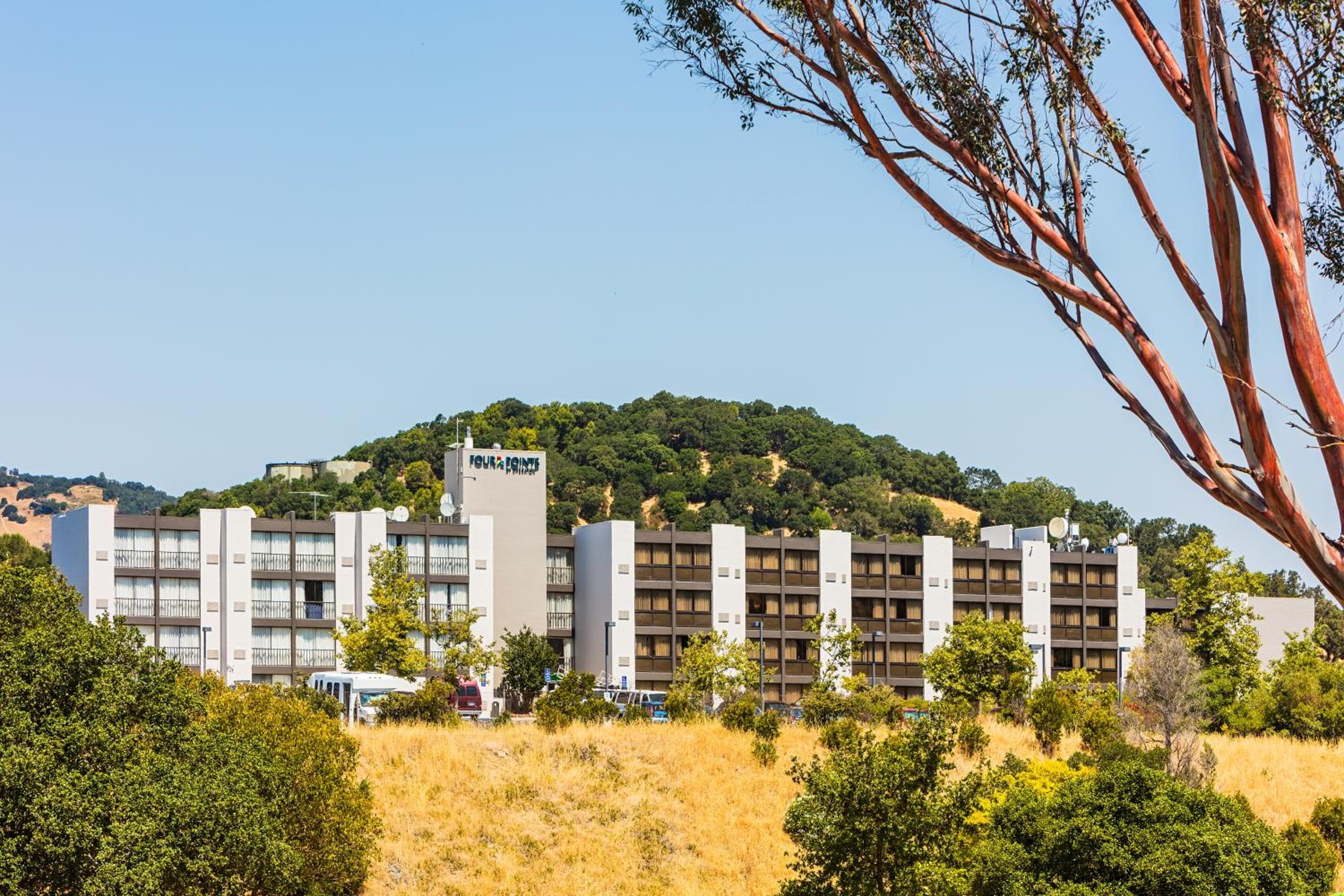 Marin Hilltop Hotel