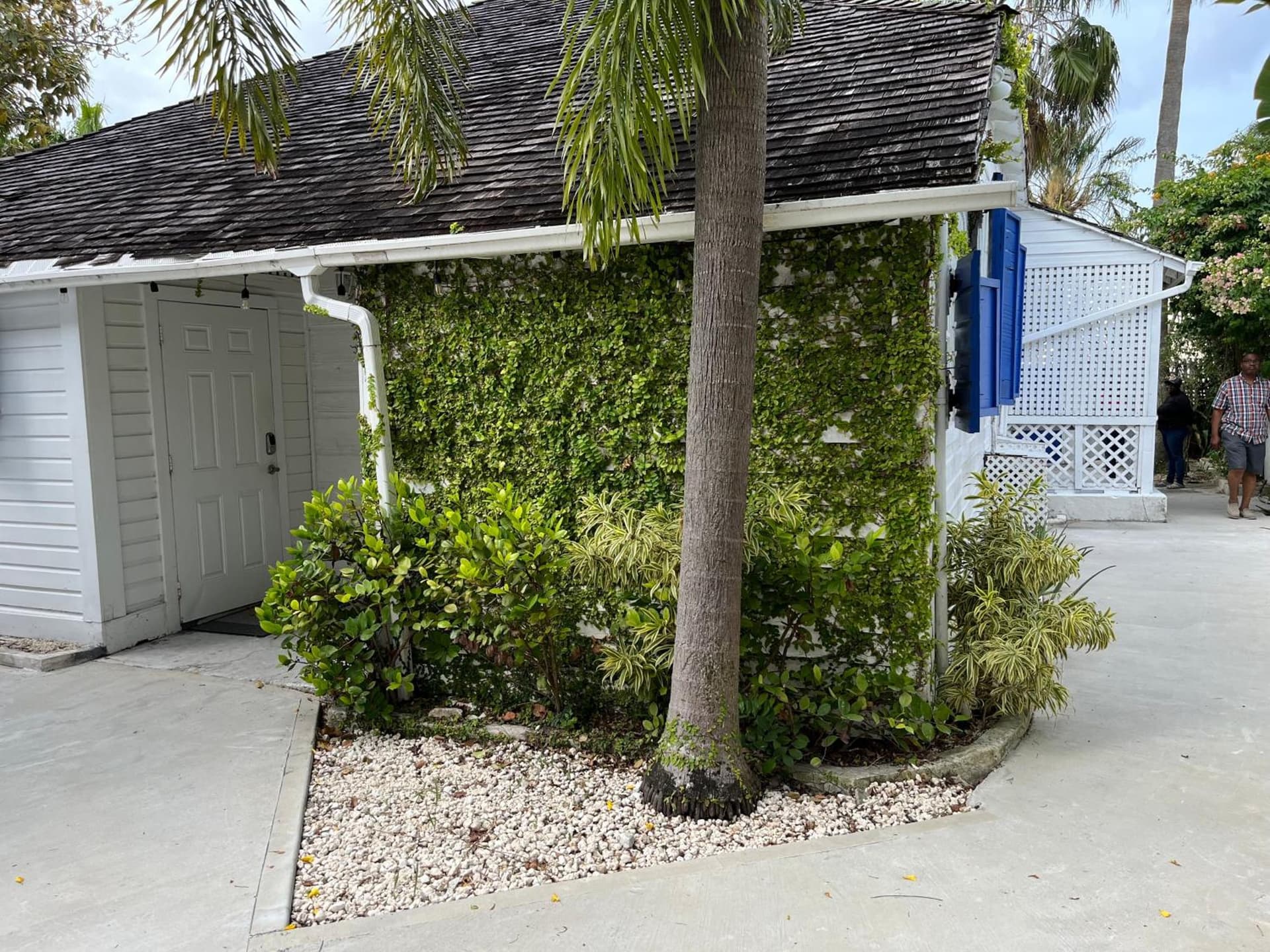 Downtown Nassau Oasis Unit 3