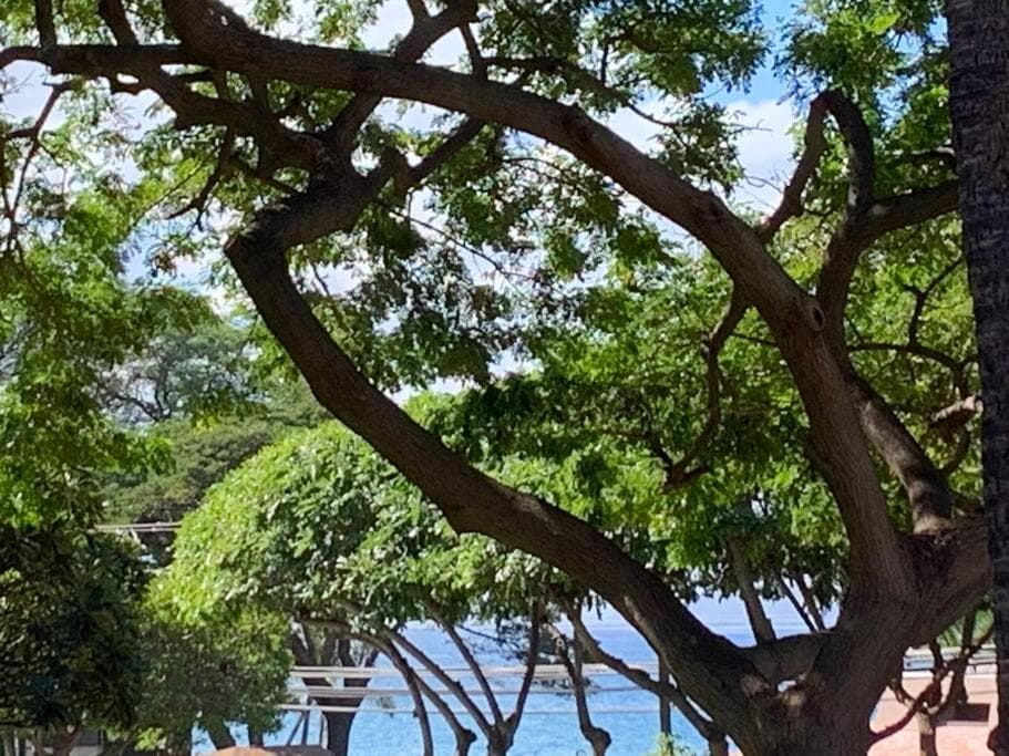 Maui Vista one bedroom across the street from Kam1 beach shops and restaurants