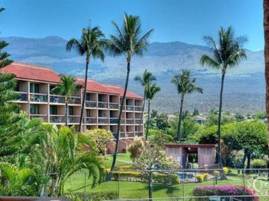 Maui Vista one bedroom across the street from Kam1 beach shops and restaurants