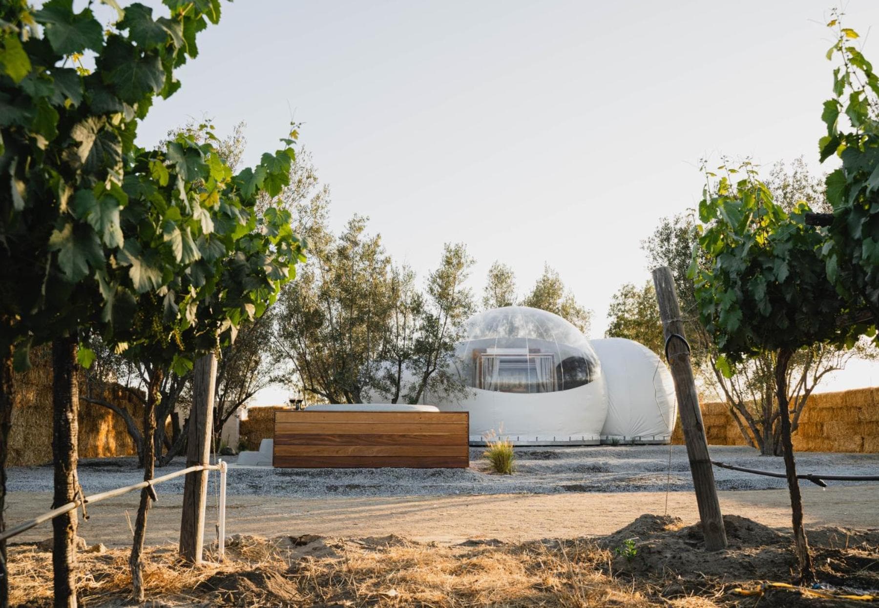 Campera Valle de Guadalupe