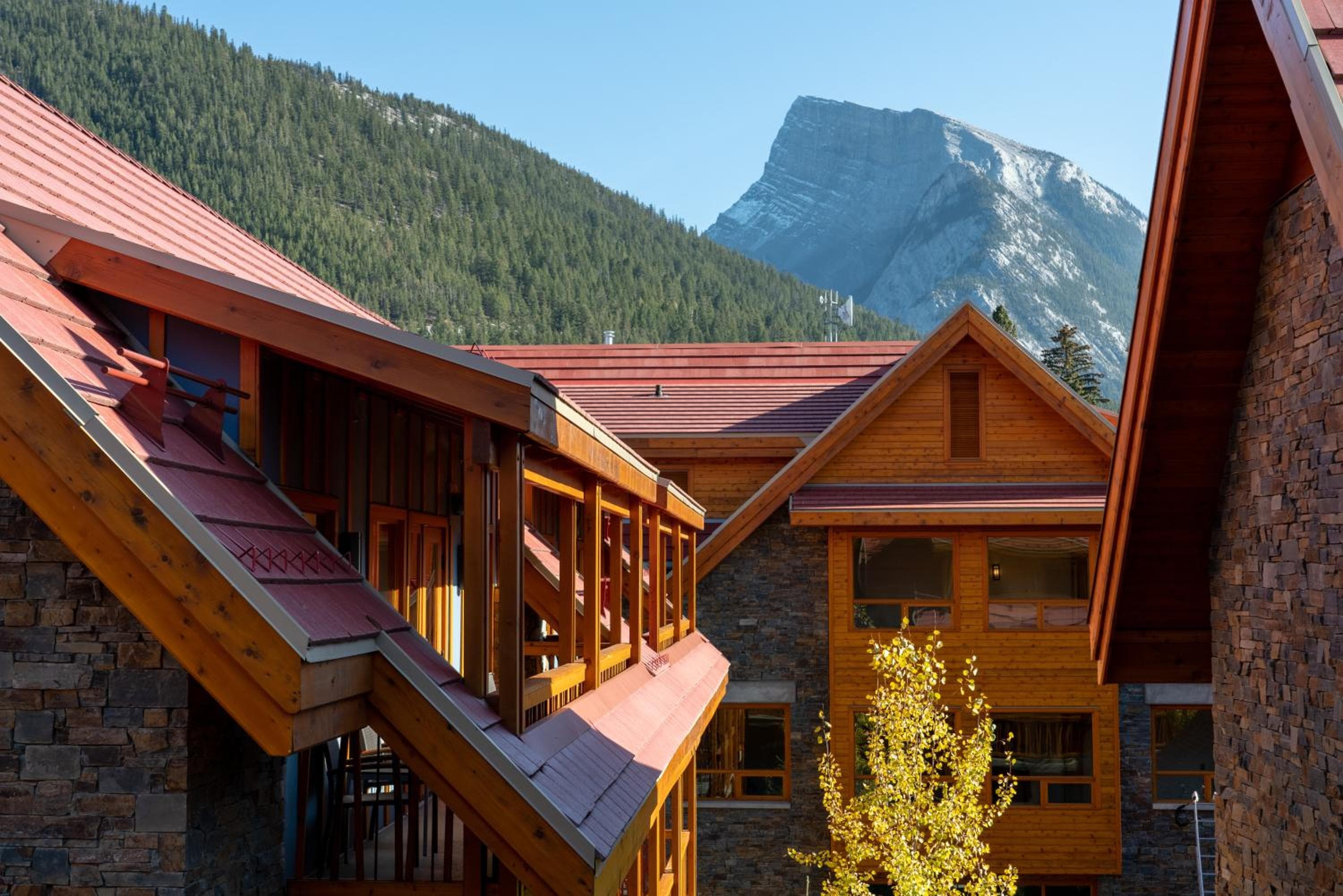 Moose Hotel and Suites