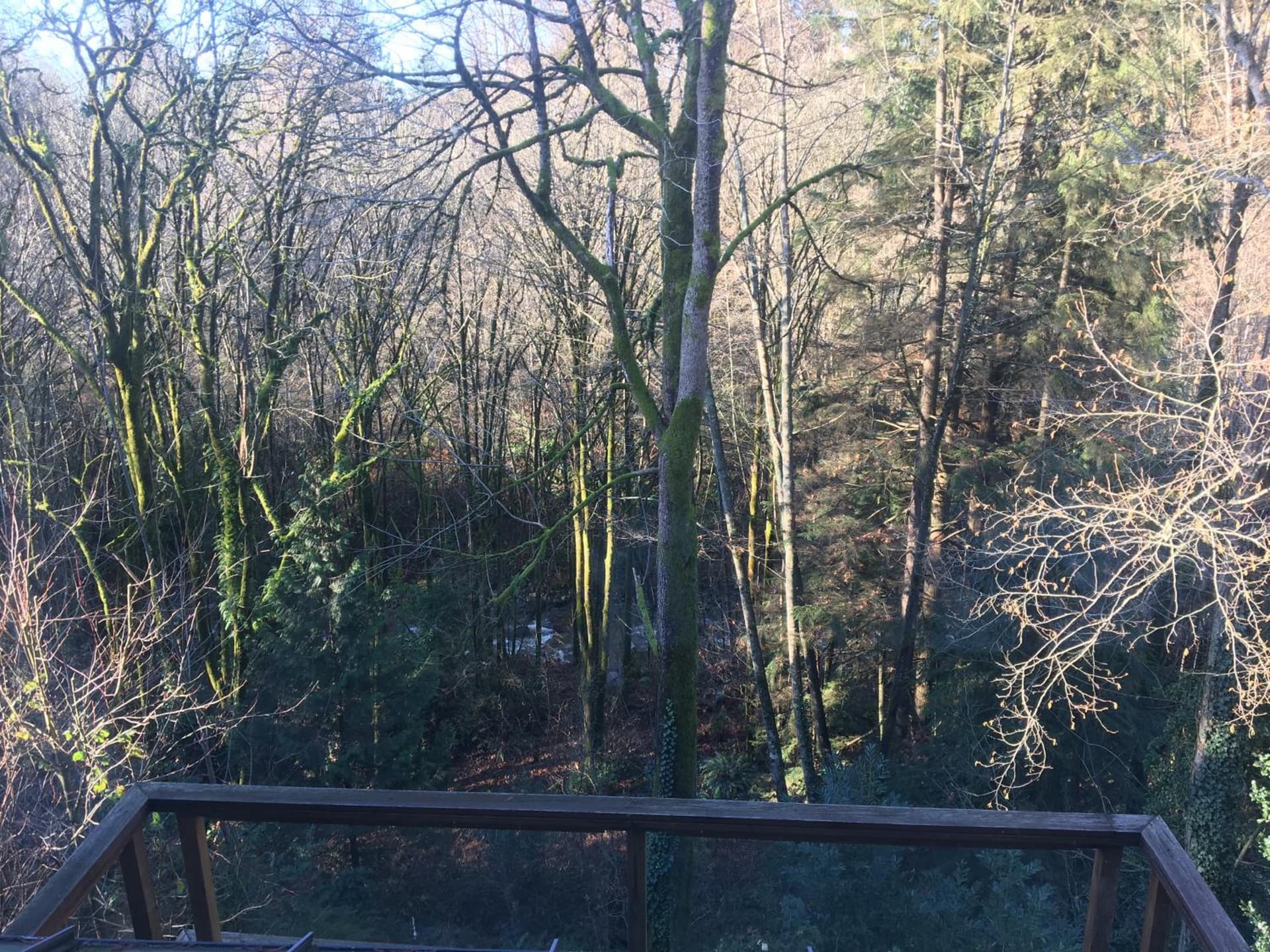 Creekside City Center suite
