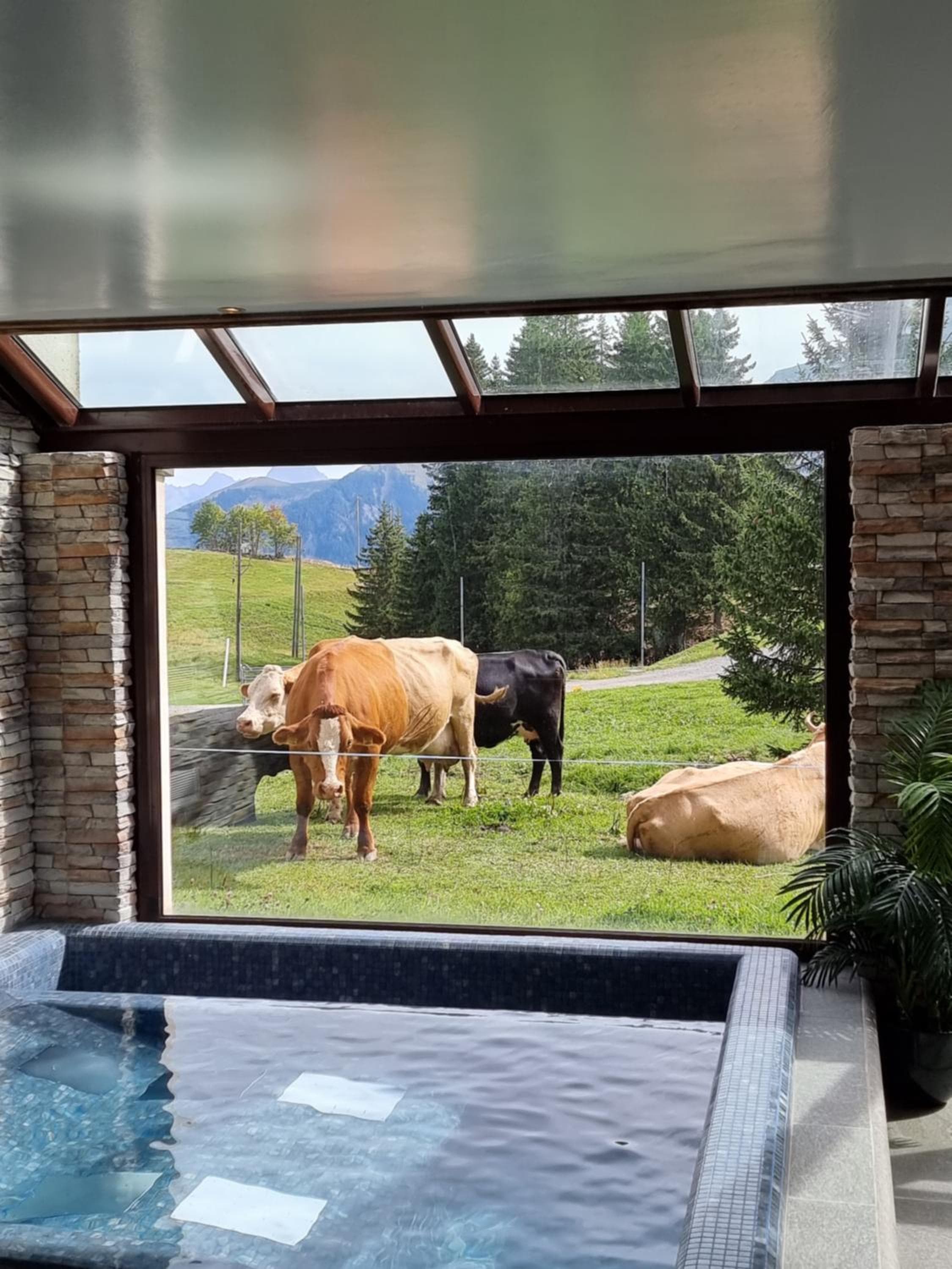 Mountain Lodge & Spa, Les Crosets