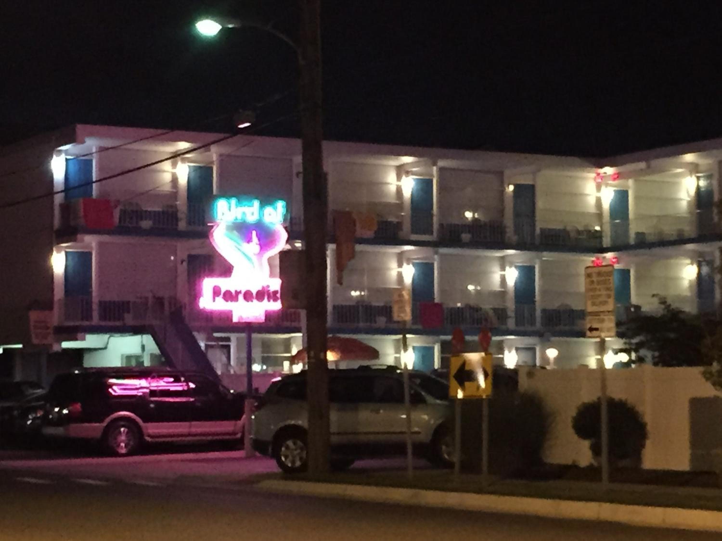 Bird of Paradise Motel