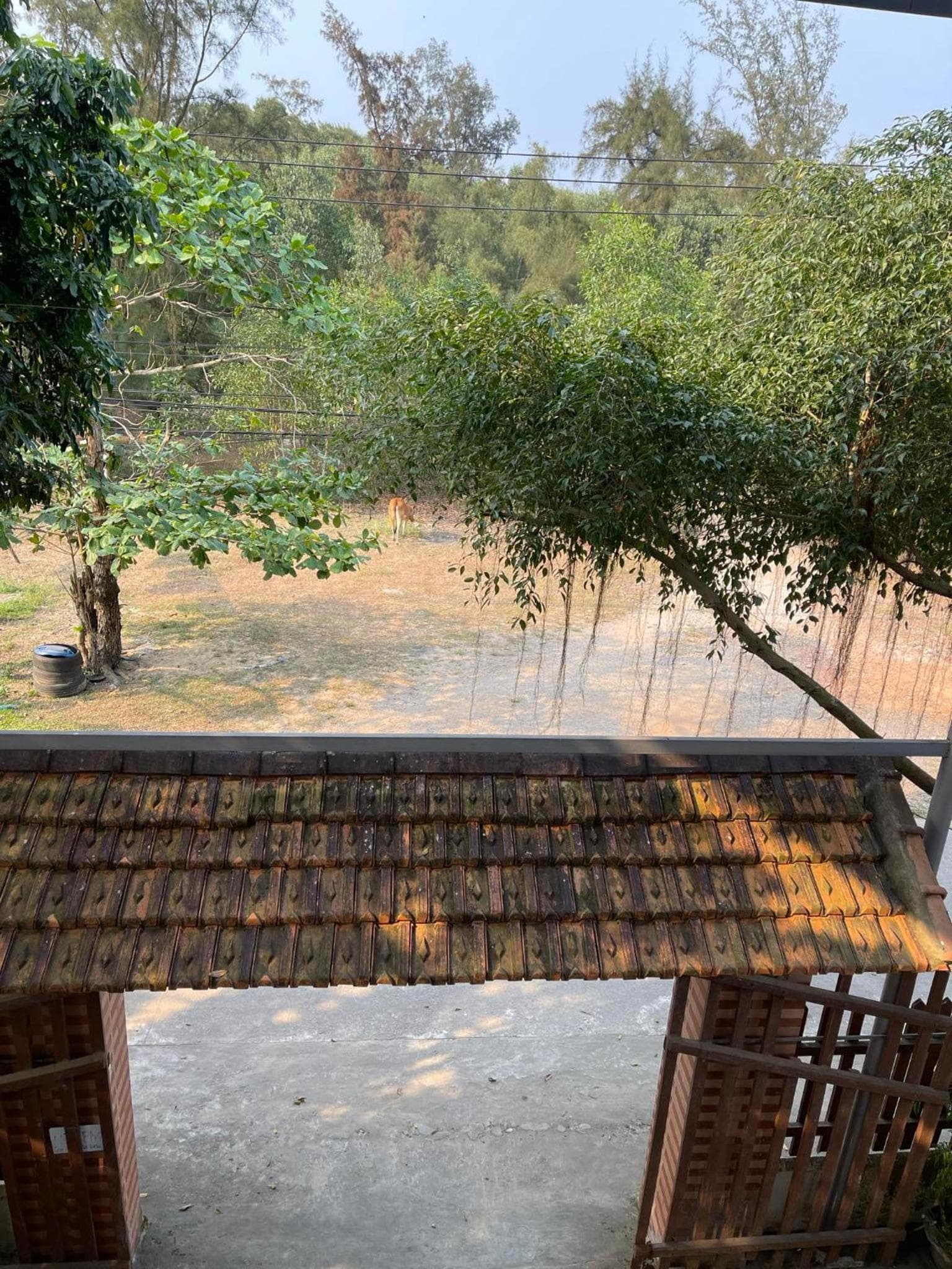 Nhà nghỉ Biển Xanh