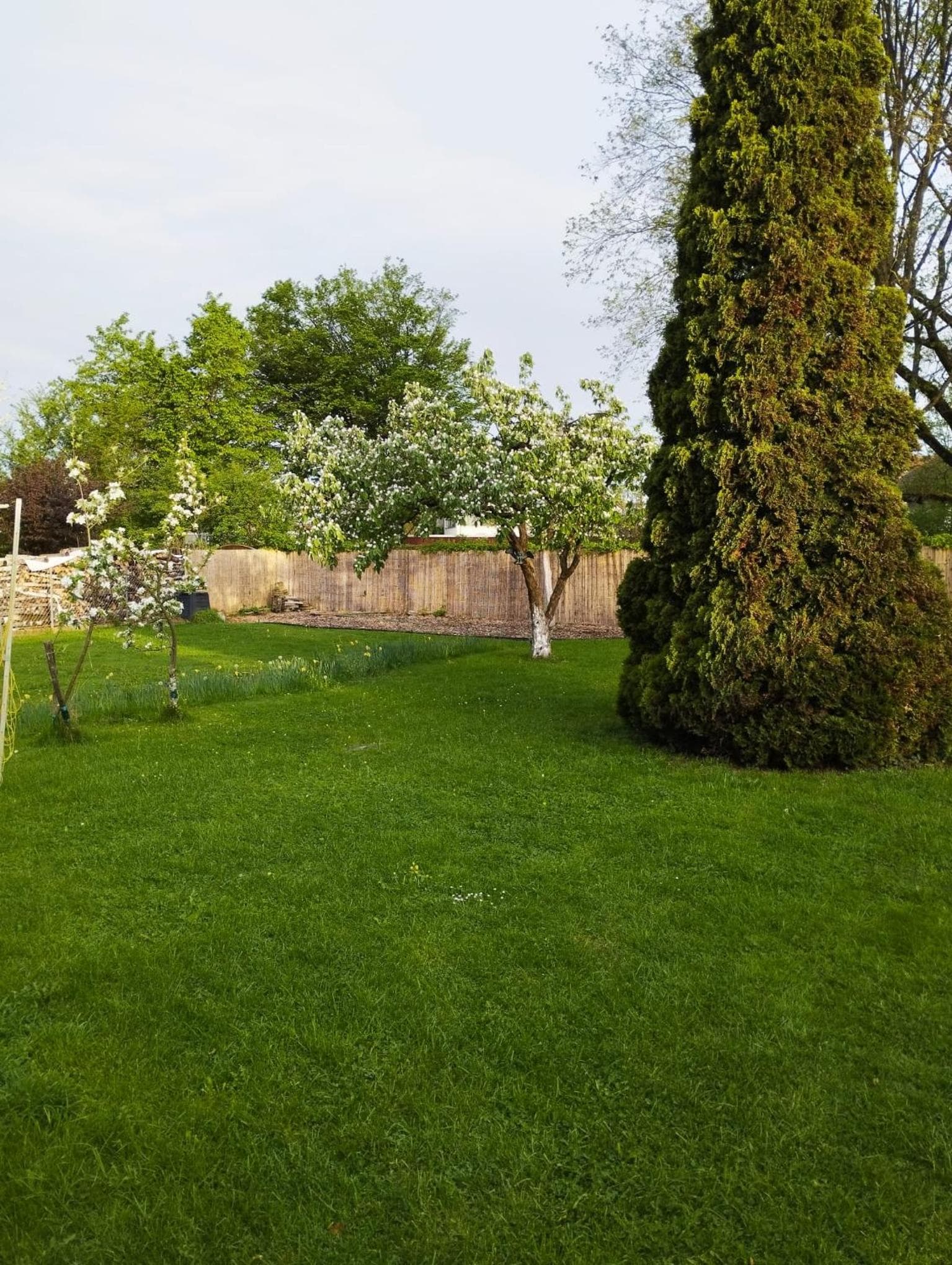 Authi's Stube