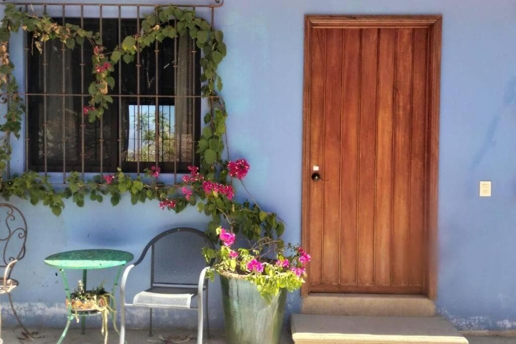 Casa Ocelote Homme Office